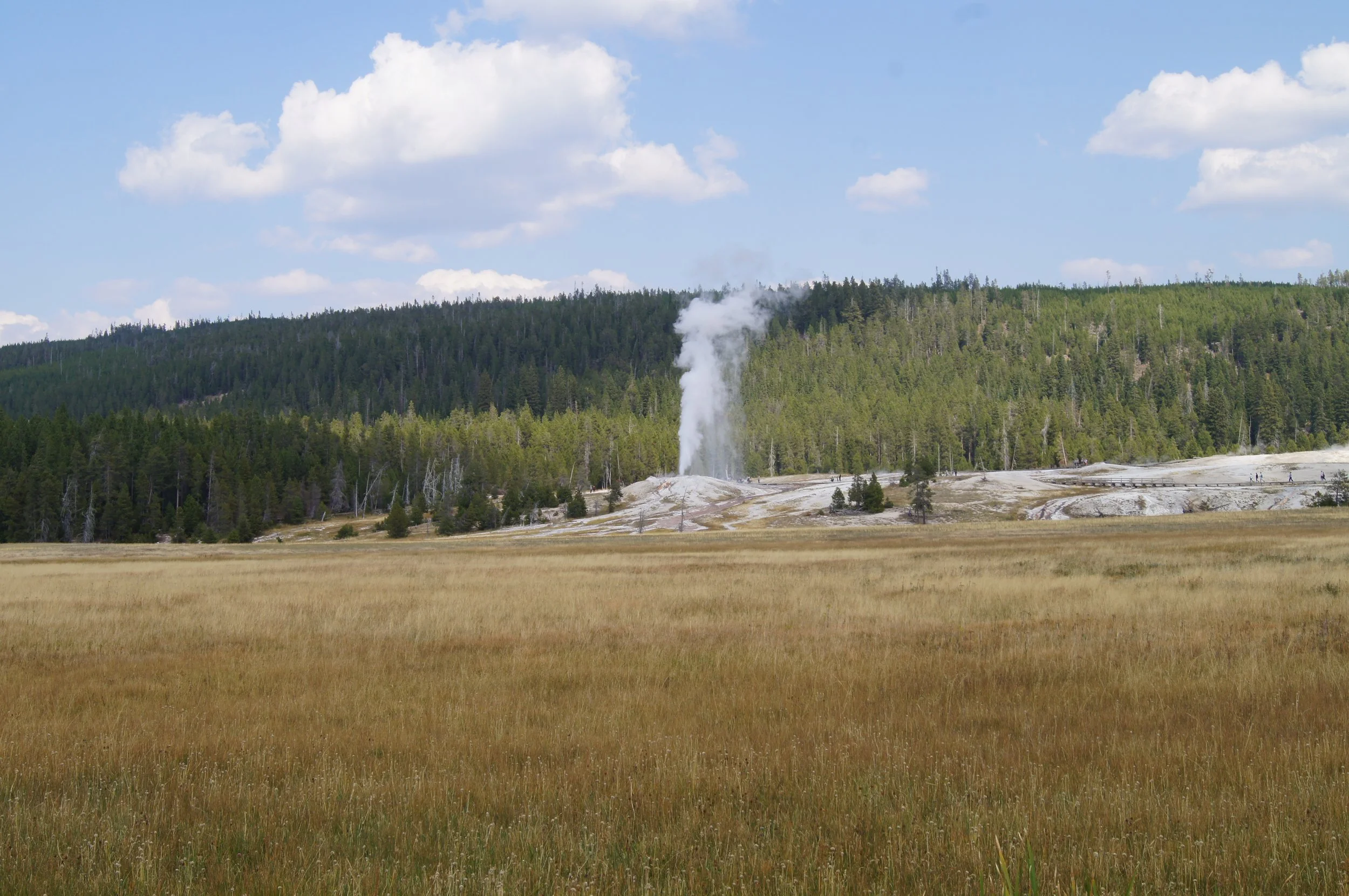 DSC05525 - Copy.JPG