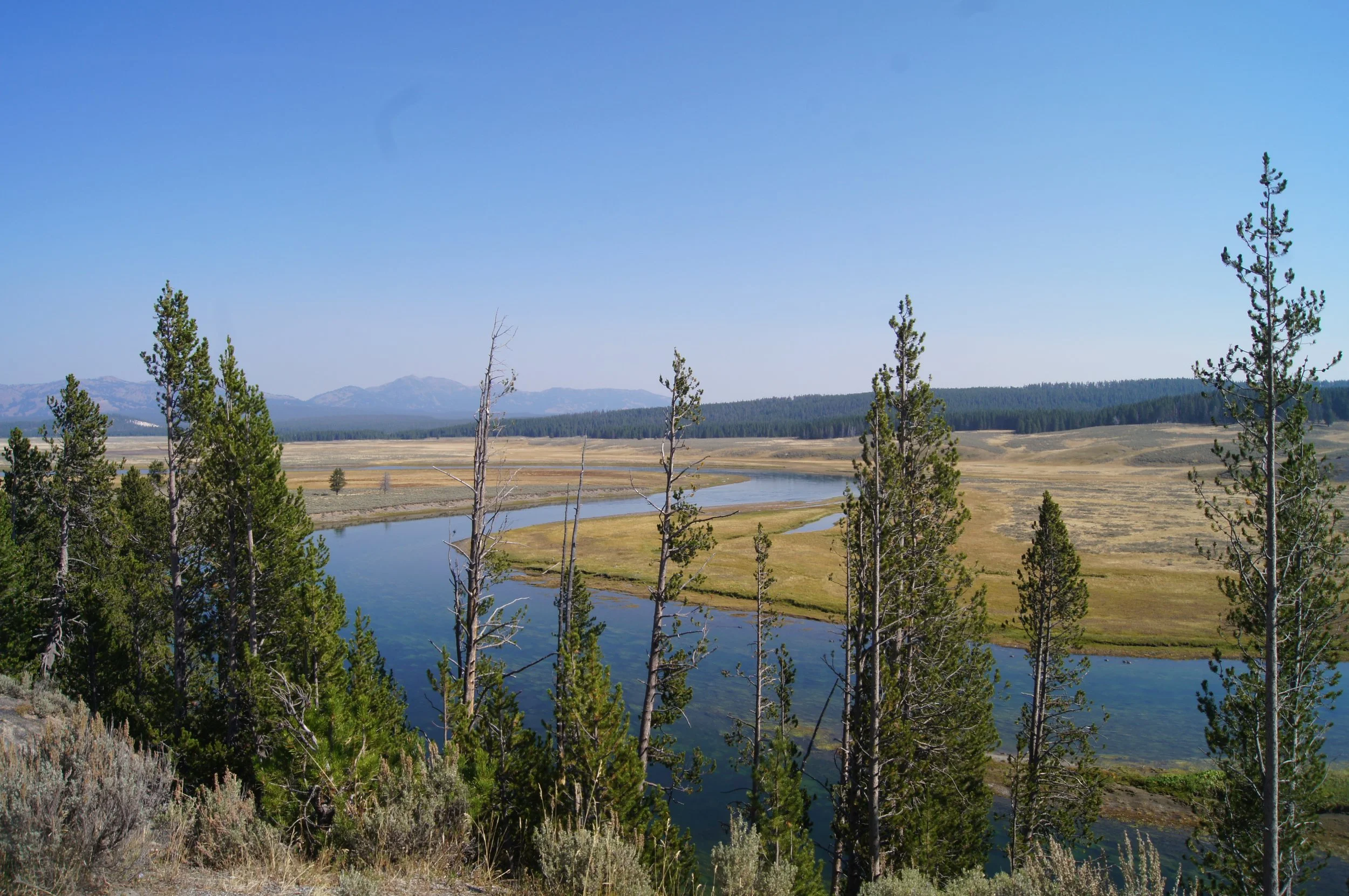 DSC06105_1.JPG