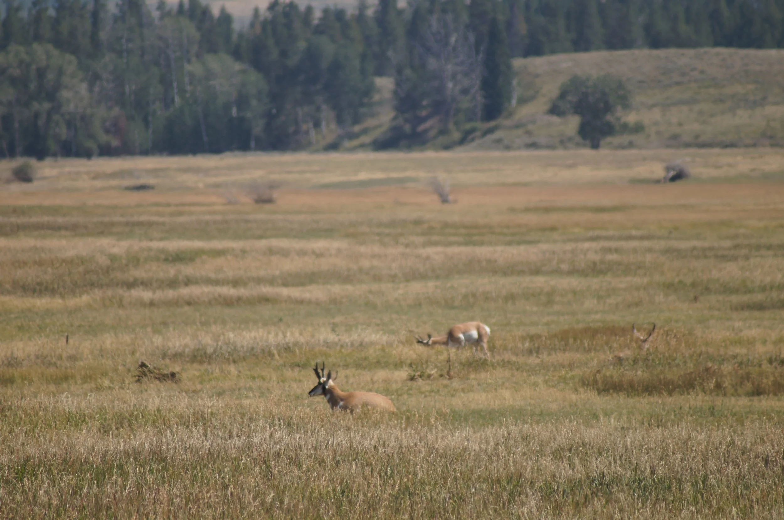 DSC05167_1.JPG