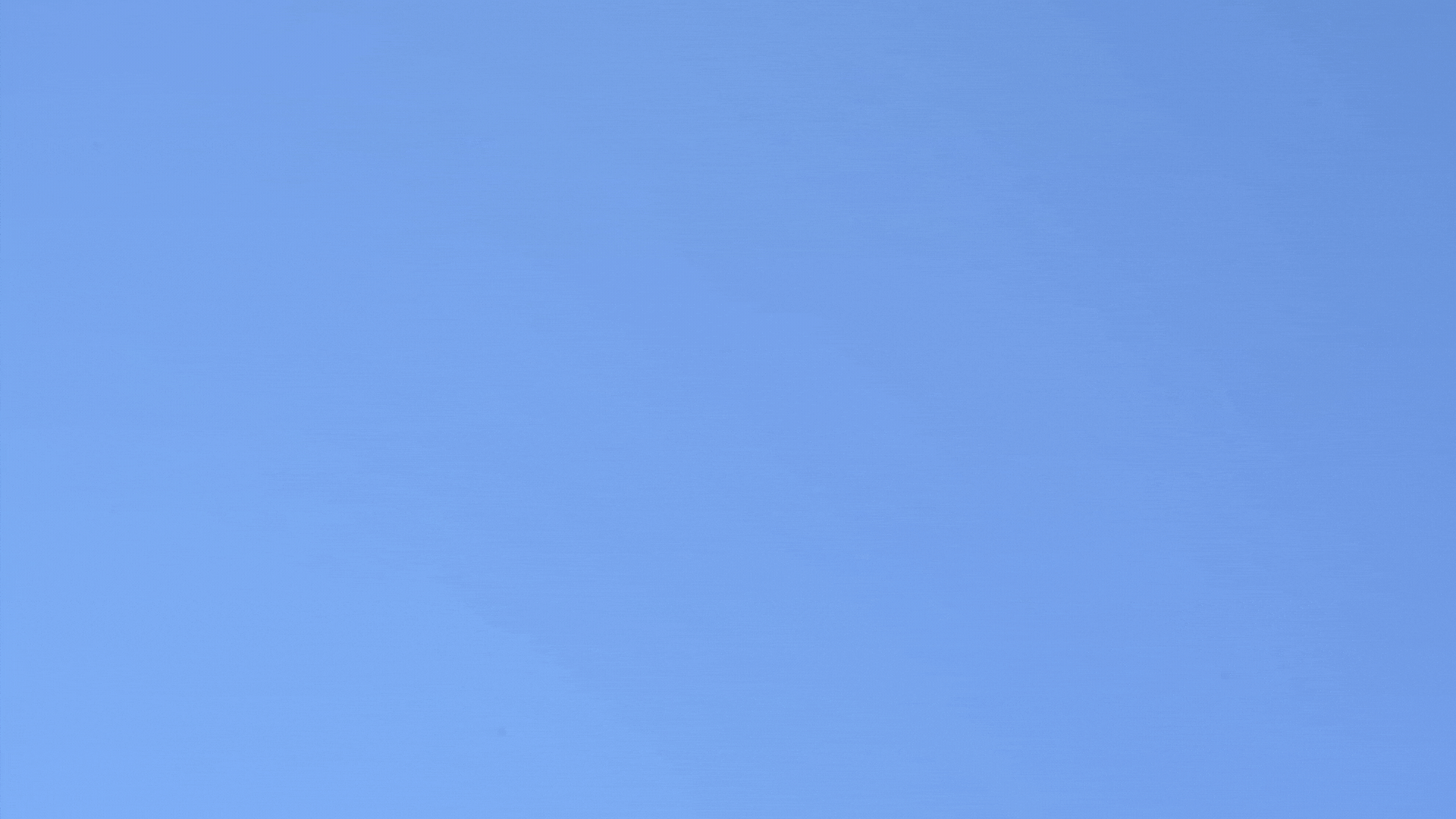 Digital SAT / ACT Prep - 1:1 (Virtual - Hourly)