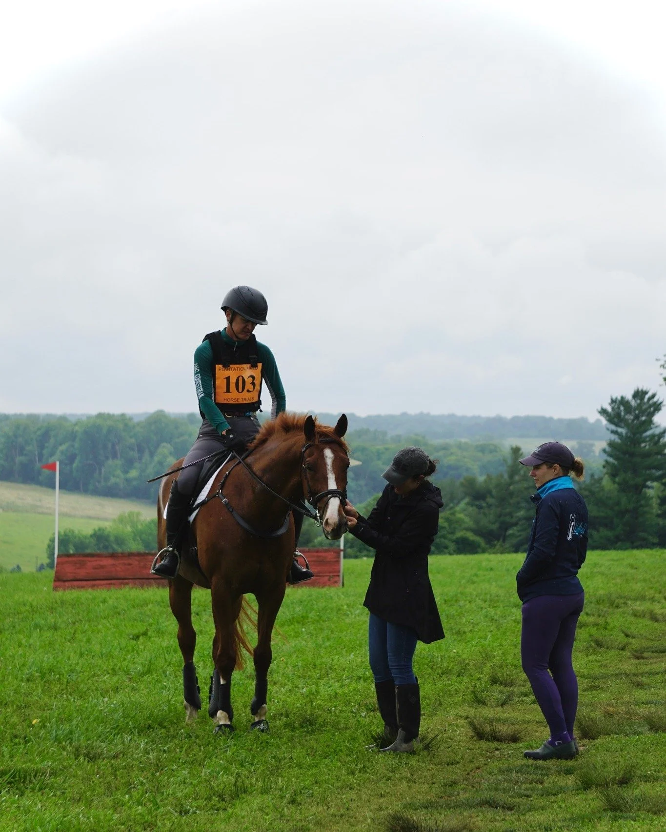 Behind every great horse is a team that shows up and lifts up. 

#EventingLife #OTTB #WarHorse #ThoroughbredPower #PlantationField #HorseShowLife #TeamworkMakesTheDreamWork #HorseShowVibes #EventerNation #EquestrianLife #BehindTheScenes #HorseAndRide