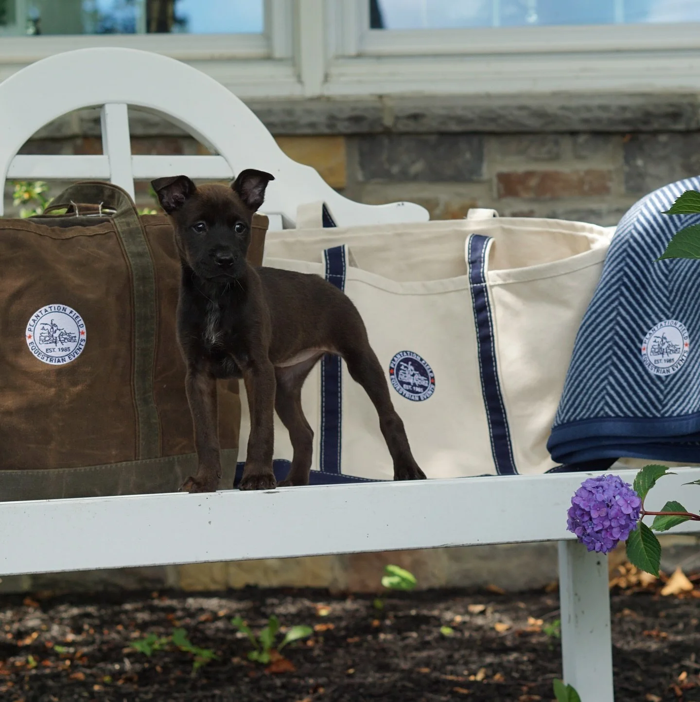 Custom Plantation Field Totes are perfect for beach days, barn runs, or hauling gear to the next event.

Spotted here with our cutest model yet&mdash;a foster pup rescued from the Texas floods and currently being looked after by Plantation Field&rsqu