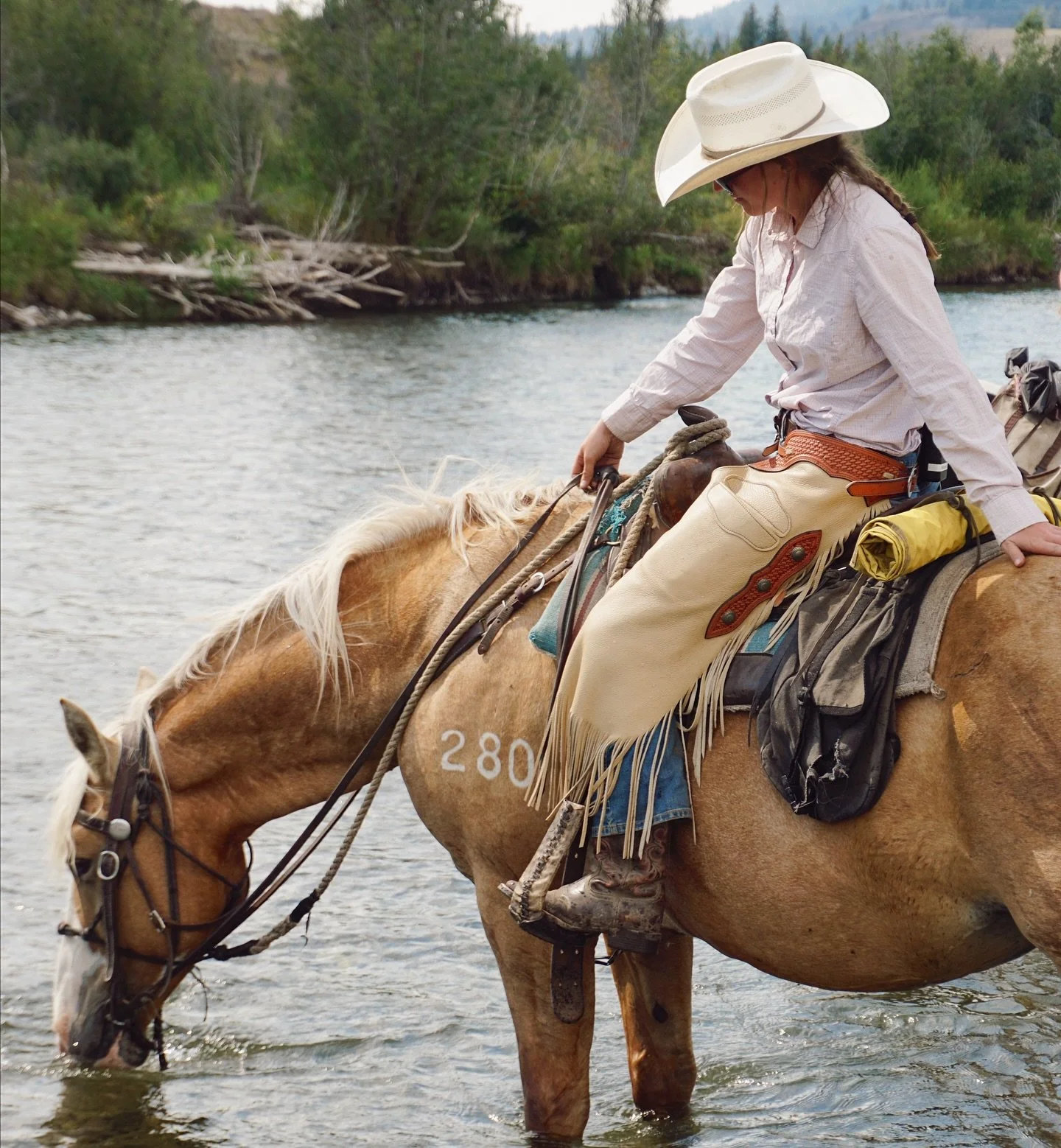 Spent the past month wrangling at Turpin Meadow Ranch and it&rsquo;s been nothing short of amazing. Here&rsquo;s Ava and Blondie&mdash;two of the lovely gals I&rsquo;ve had the pleasure of working alongside out West. @avakdunn @turpinranch