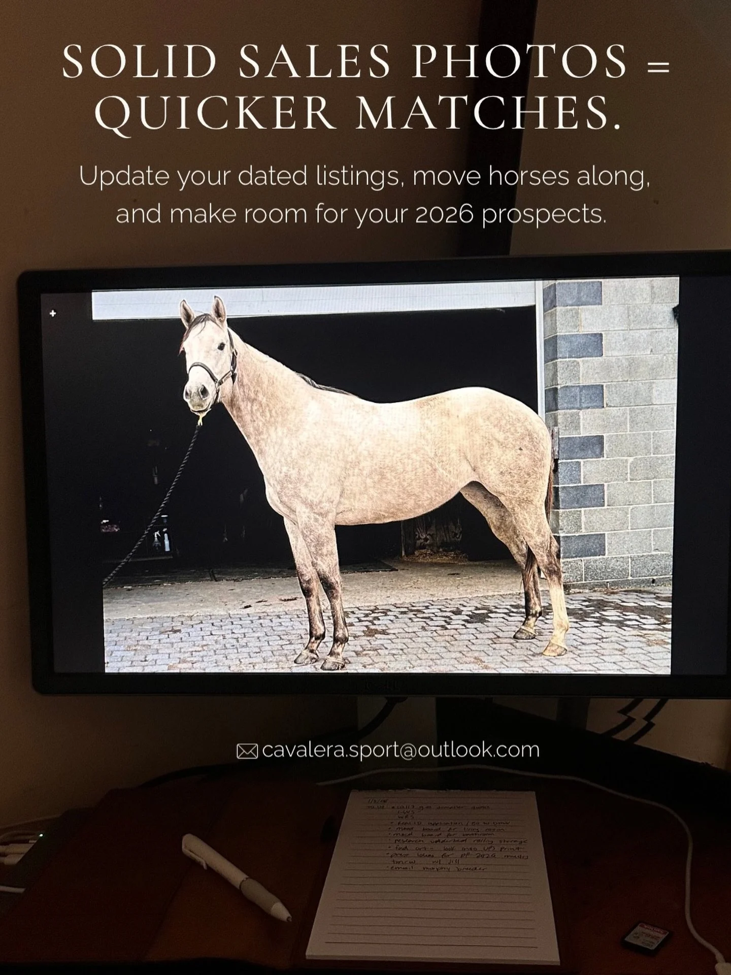 Happy New Year! 
The Year of the Horse is here&mdash;time to set your horses up for success.
Fresh sales photos help them find new homes faster and make space for the next 2026 prospects.
DM or email to book your session