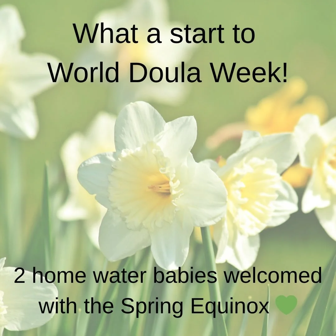 World Doula Week 22nd - 28th March.

Doulas around the world are celebrating in various styles and busy spreading the word socially and locally!

Doulas NI are no exception and are delighted to welcome 2 darling wee babies into the world alongside th