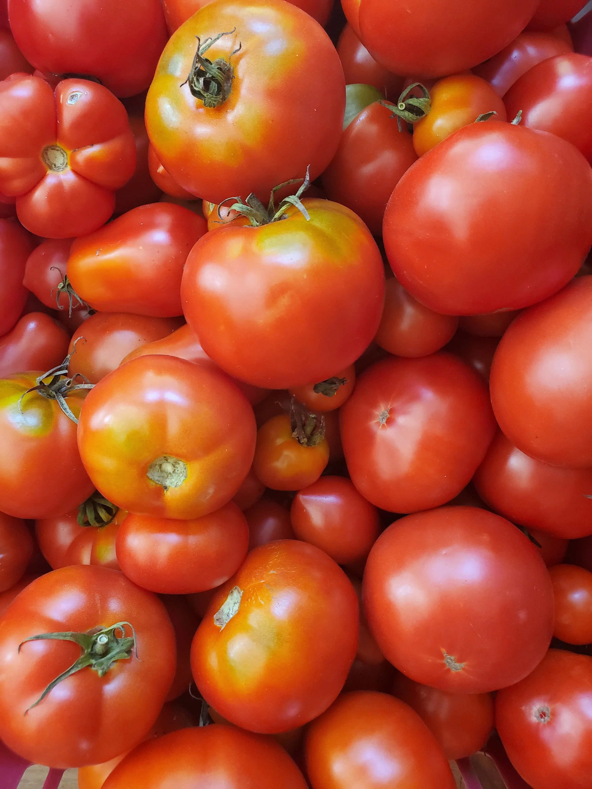 A Simple Way to Make Your Own Passata