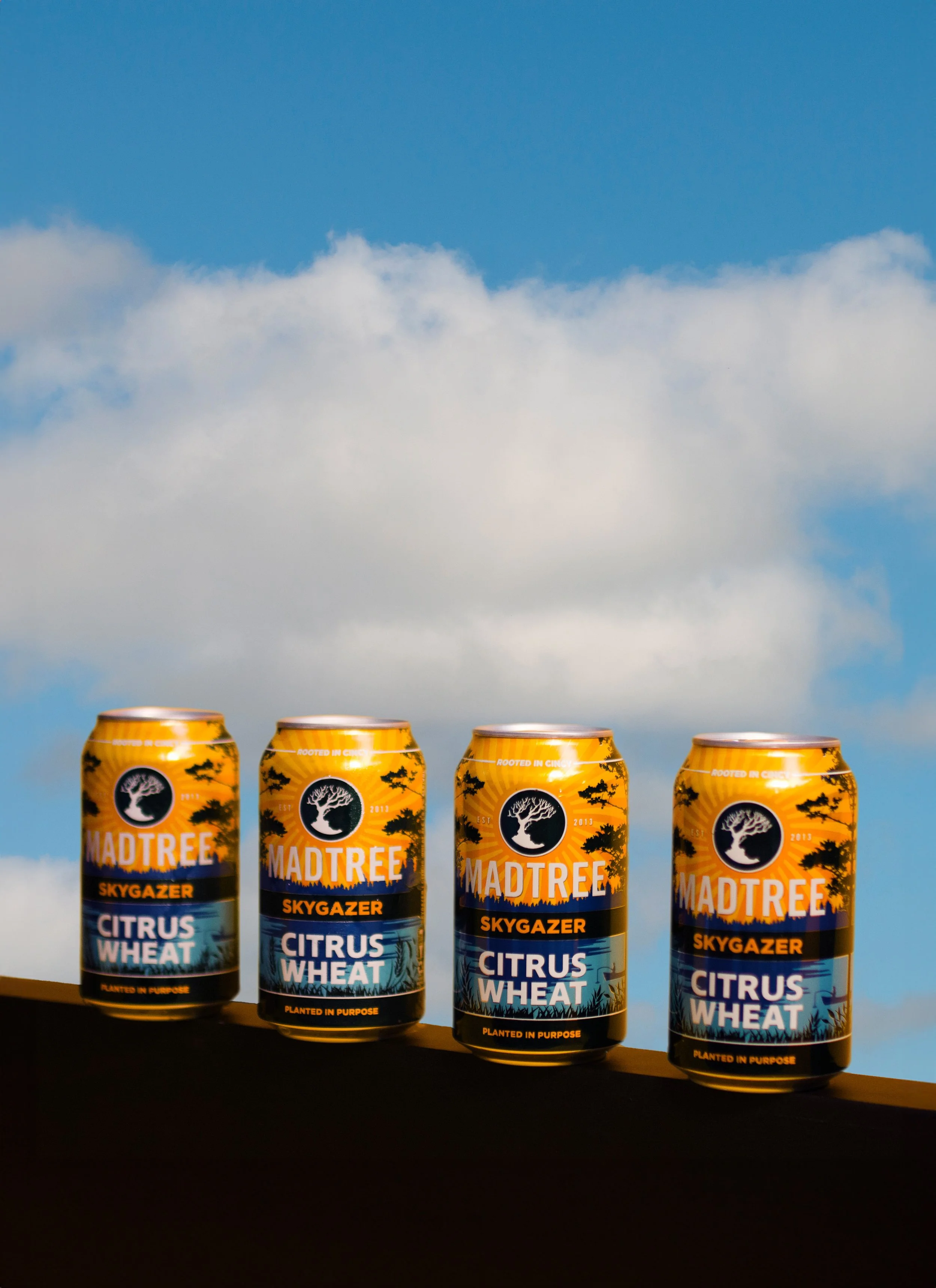 skygazer oranges.jpg