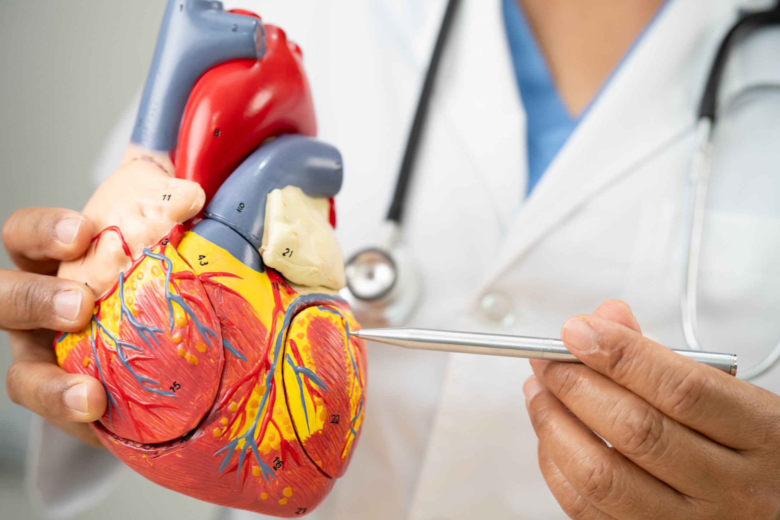 GE HealthCare Flyrcado™ (Flurpiridaz F-18) PET MPI Performance