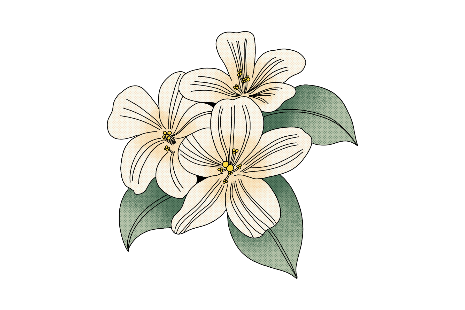 Tea Soap Labels (4).png