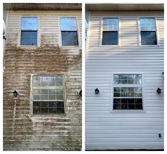 House Wash Siding Cleaning 