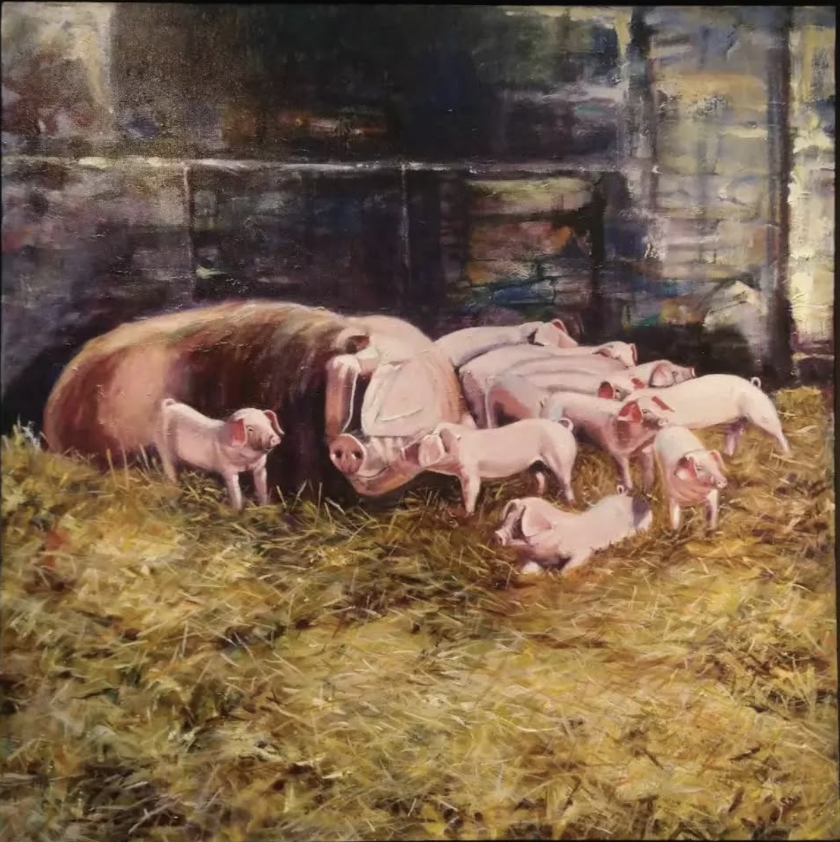 Teifi's Pigs 3:50.png