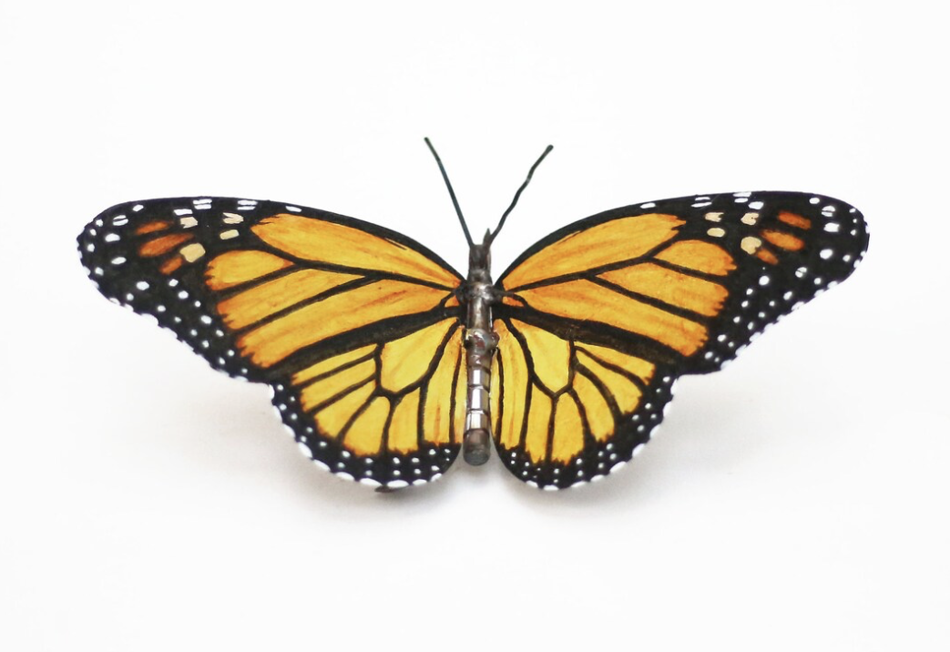 Monarch Butterfly .png
