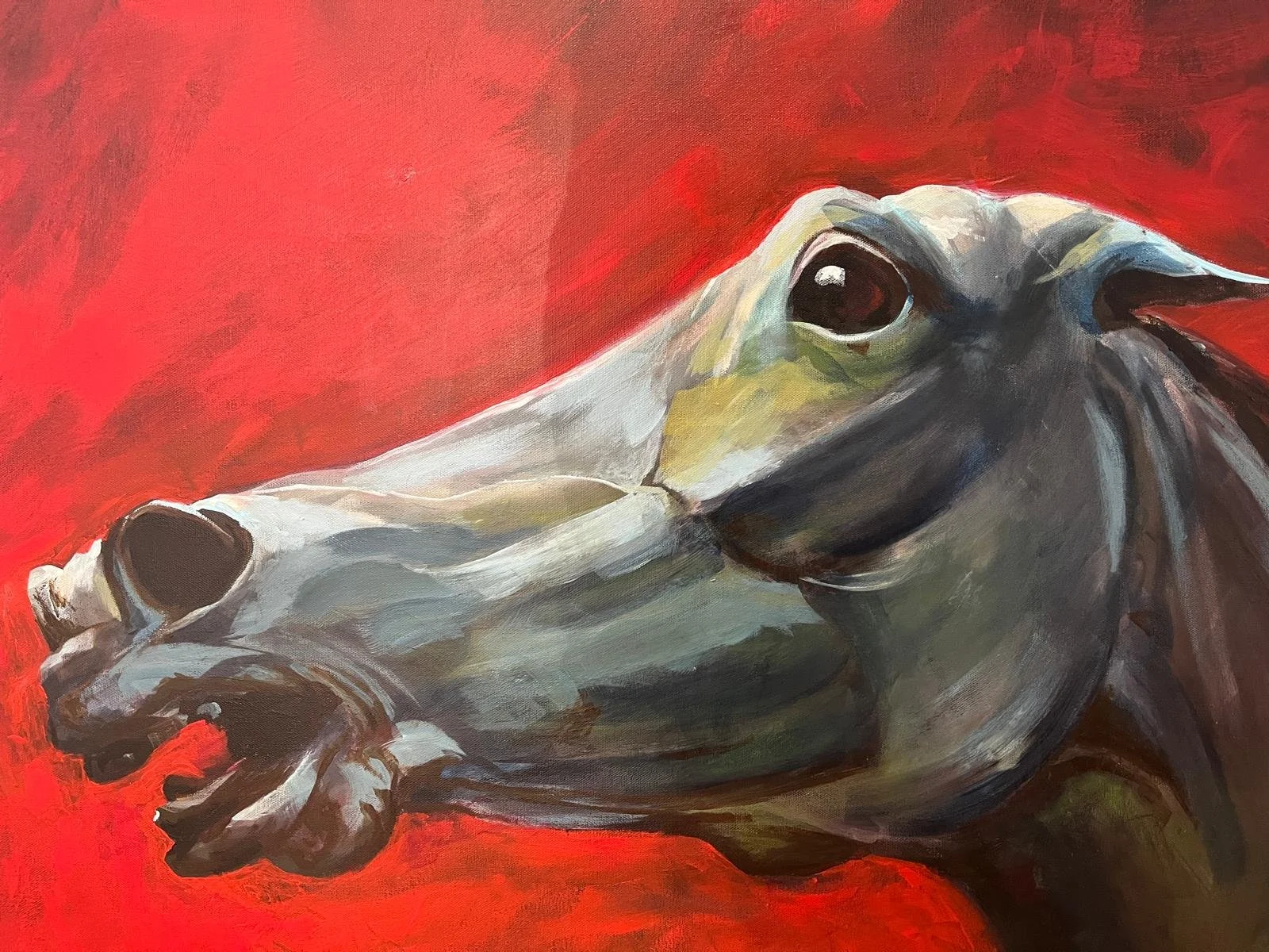 Anne Cakebread Solo Show