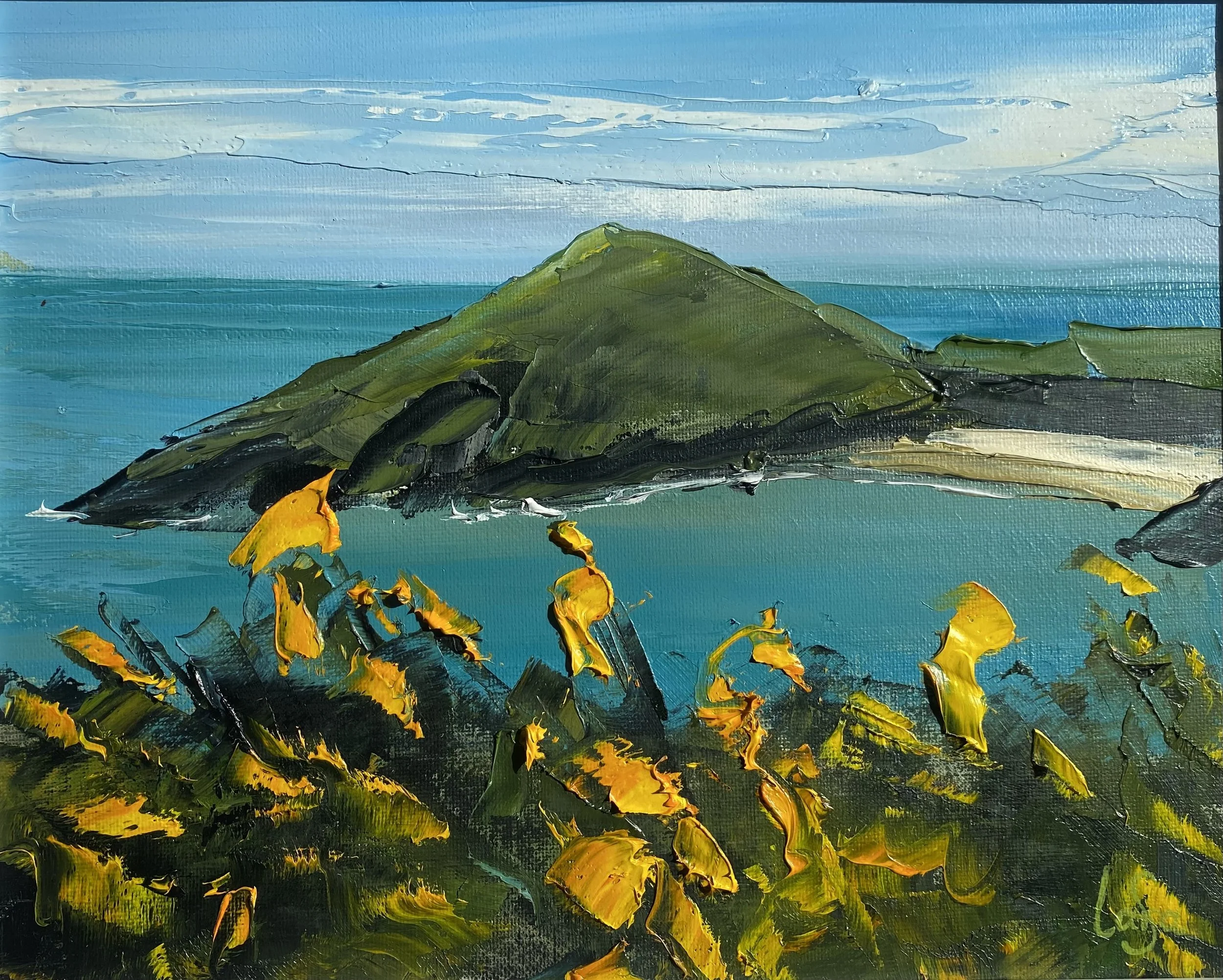 Spring gorse, Mwnt 25x30cm £425.jpeg