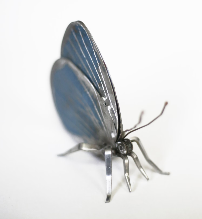 Screenshot 2025-09-19 at 13.12.54.png