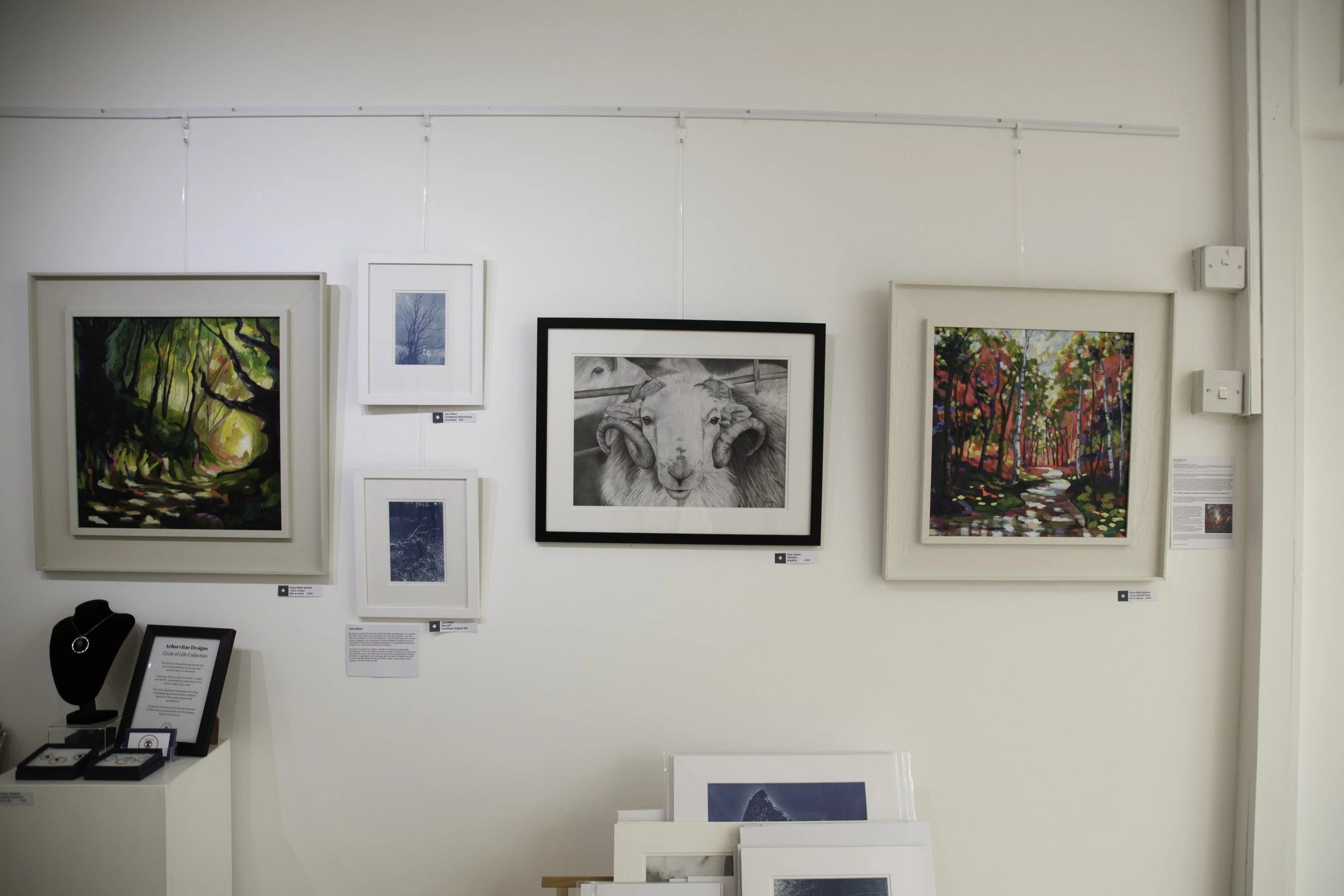 Art gallery wall displaying framed paintings and photographs, with a jewelry display stand in the lower left corner.