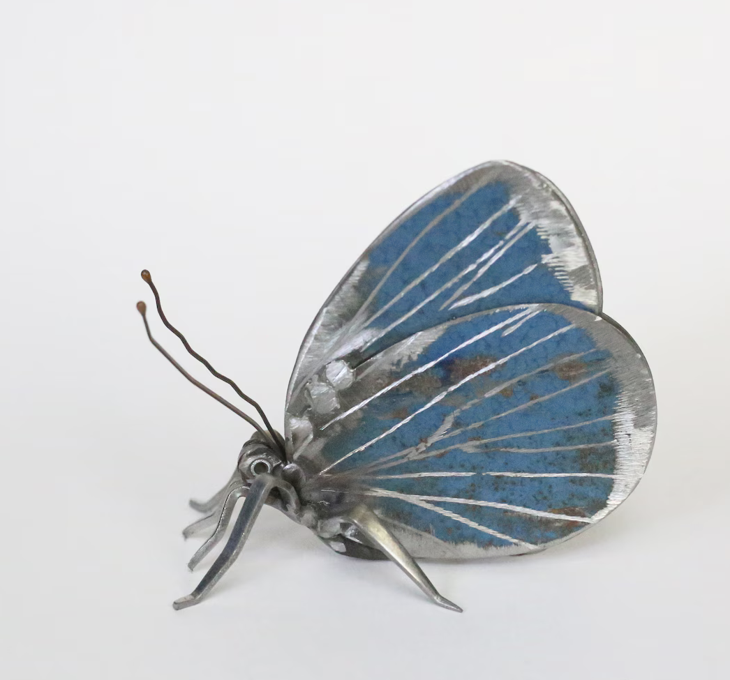 Screenshot 2025-09-19 at 13.12.30.png