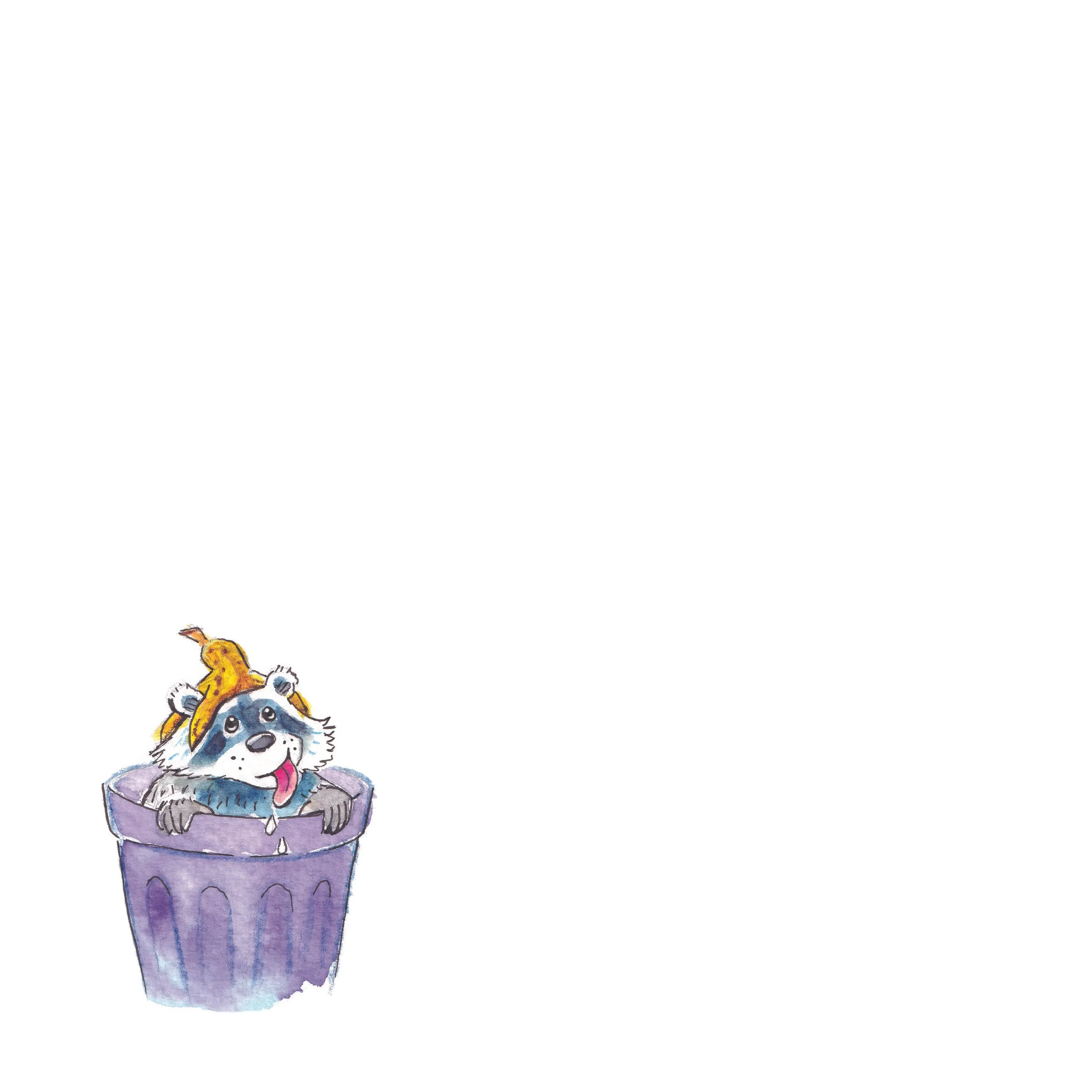 Naughty raccoon