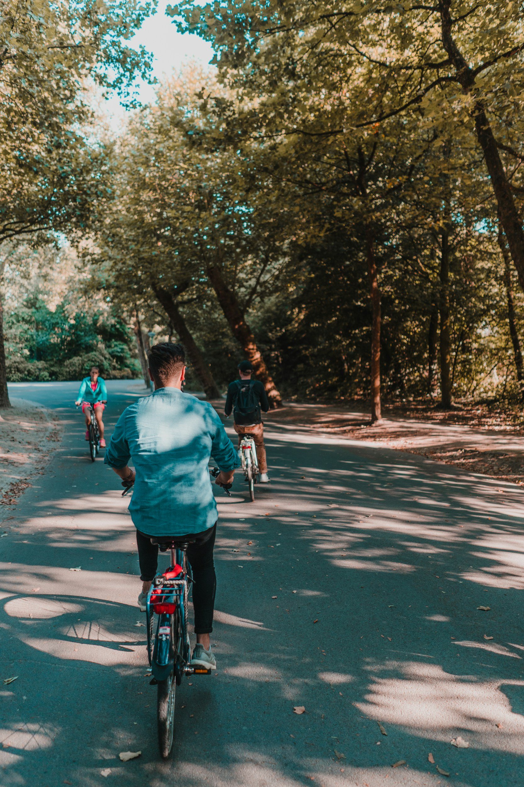 Three people riding bicycles on a shaded wooded trail in a park.