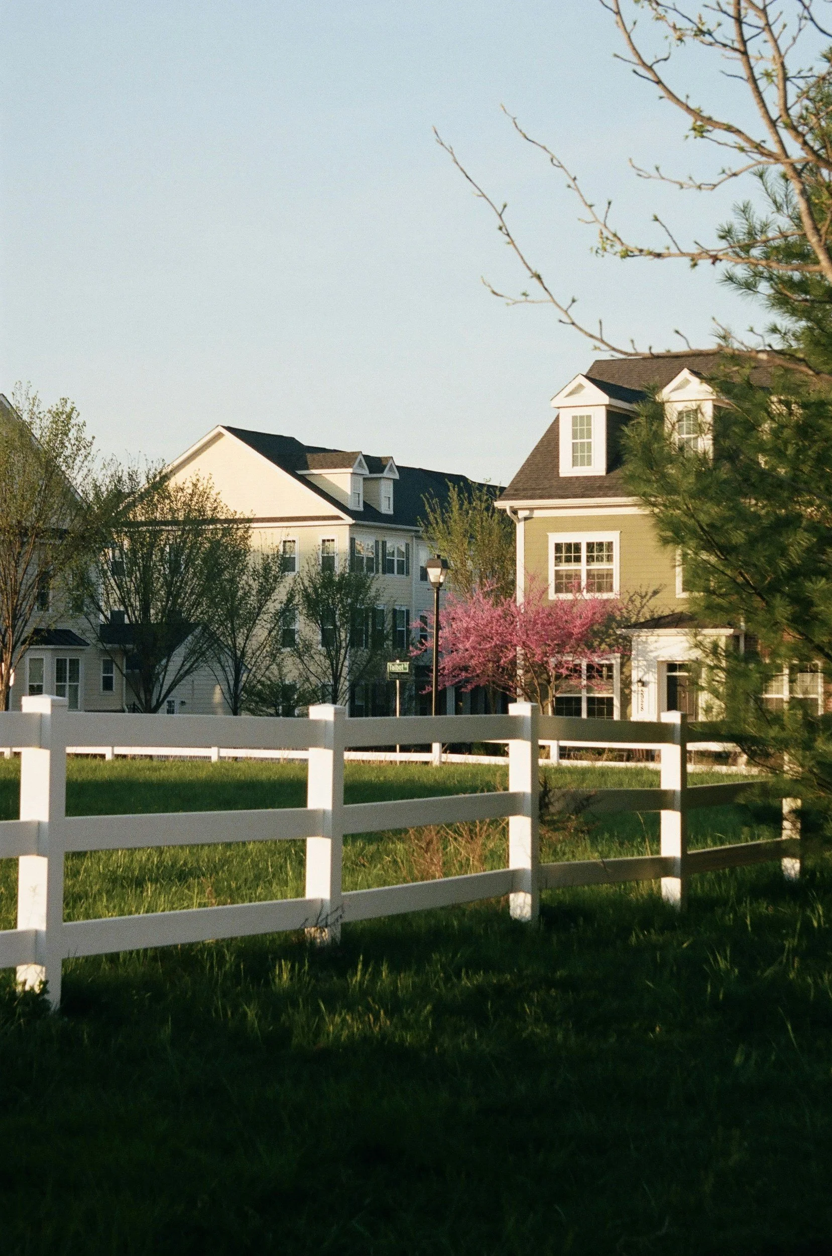 A suburban neighborhood with colorful houses, a white fence, flowering trees, and a clear blue sky.