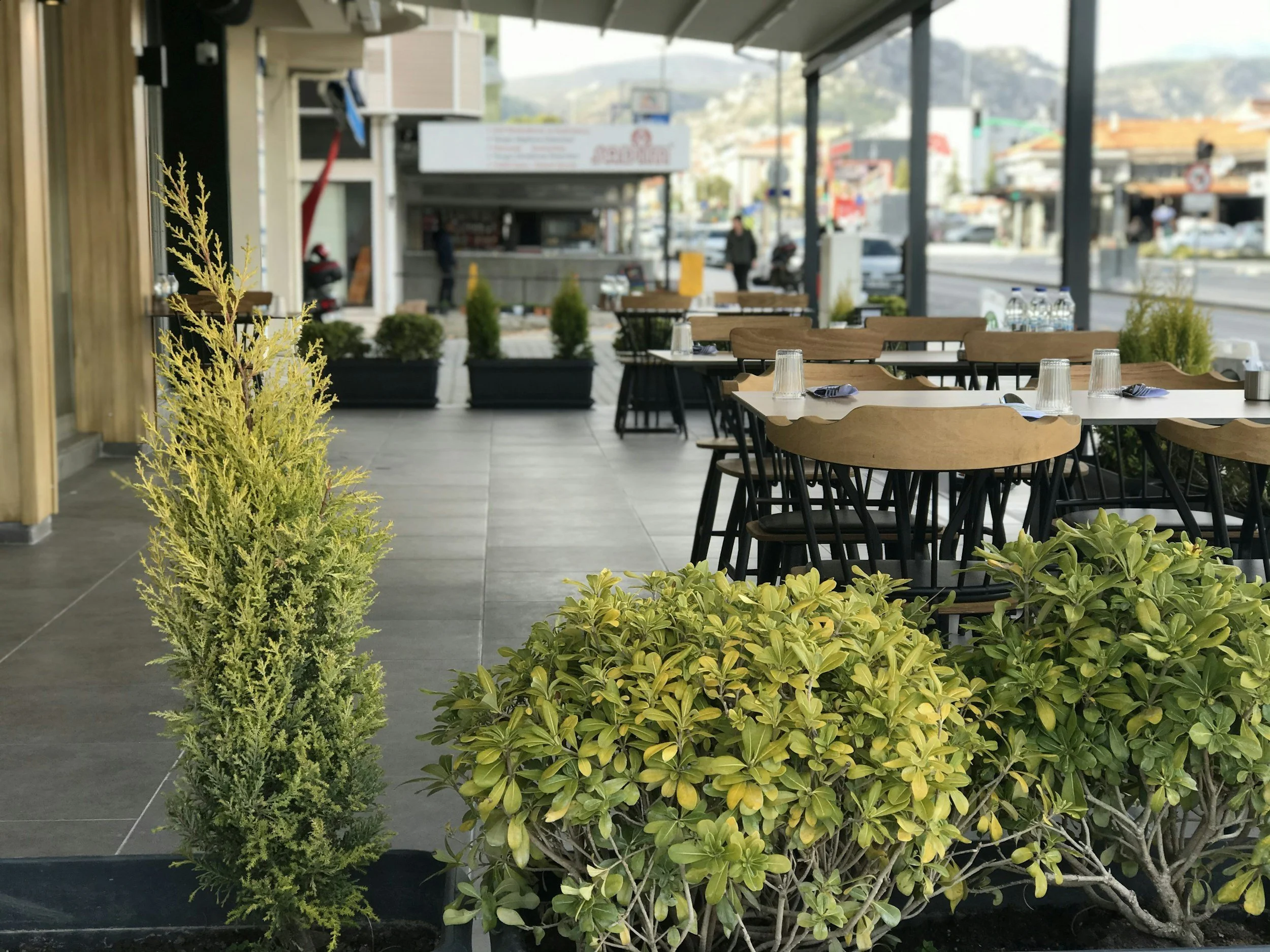 Empty outdoor restaurant seating area with wooden chairs and tables, potted plants including a small yellow shrub and green bushes, on a sidewalk with a street and buildings in the background.