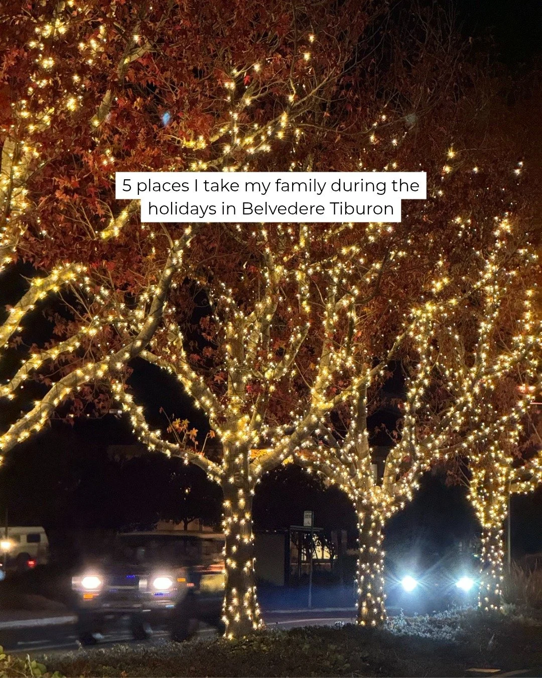 ✨ The holidays don&rsquo;t start until we go here. ✨

Every December, we trade packed schedules for traditions &mdash; and these are the 5 places I always take my family to soak up the magic in Belvedere&ndash;Tiburon:

1️⃣ Belvedere Park &mdash; qui