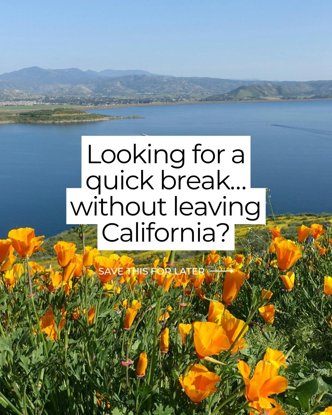 Looking for a quick break from Marin County? 🌊🌿
Here are easy day trips and weekend events starting March 19&mdash;perfect for a reset without going too far.

From wine country celebrations to beach runs and mountain competitions, there&rsquo;s som