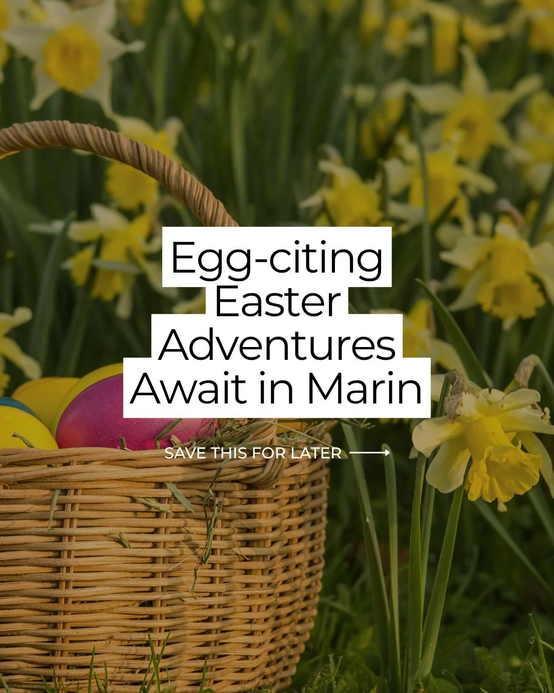 Looking for family fun this Easter in Marin County? From egg hunts and spring festivals to sunrise services and unique creative experiences, we&rsquo;ve got your guide to making this holiday unforgettable!

📌 Save this post &amp; share with friends 