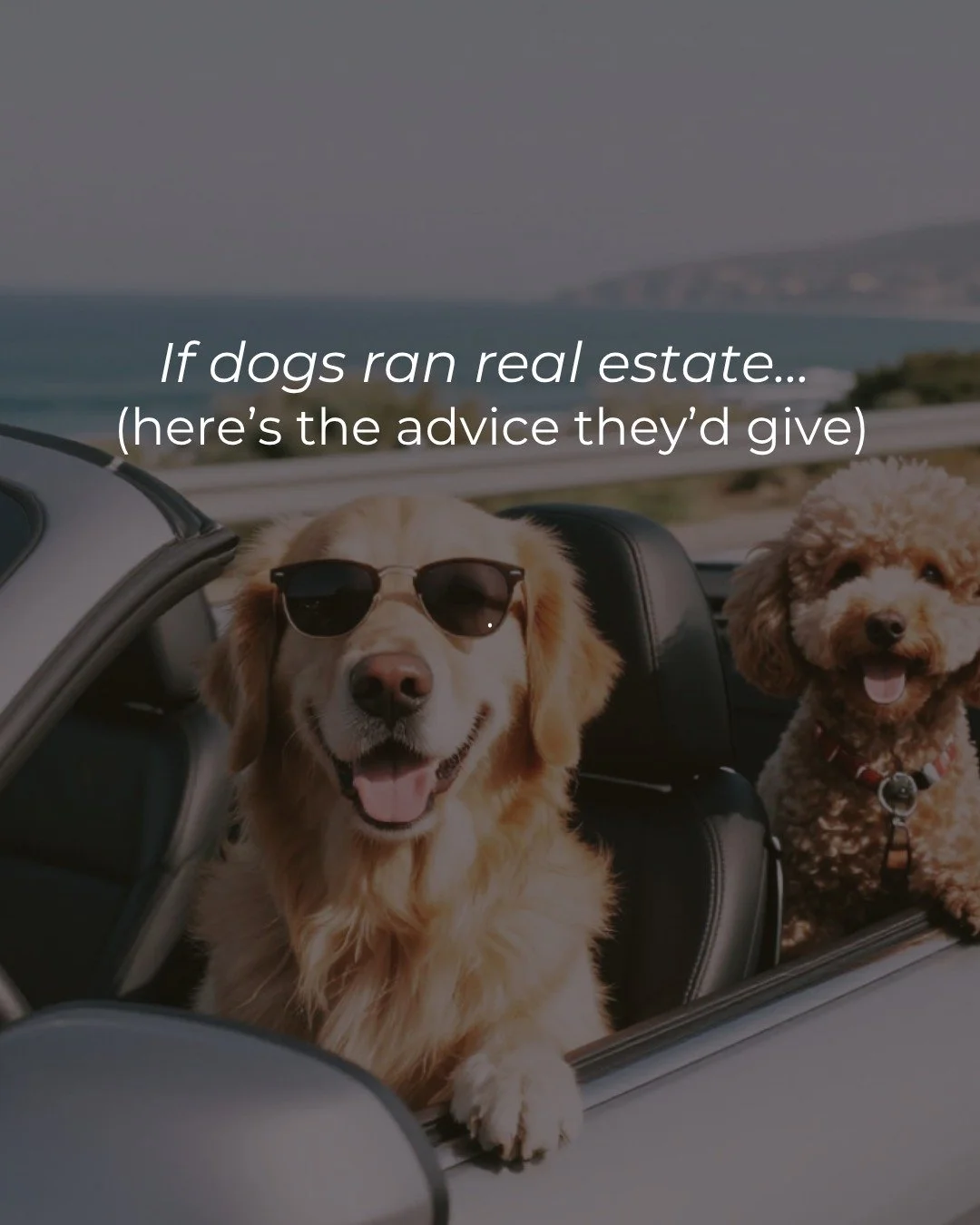 If dogs were realtors, every home would sell faster&hellip; and come with a backyard requirement 🐾

But honestly? Loyalty, instinct, and knowing a good home when you see one&mdash;that&rsquo;s the energy I bring to every client.

Thinking about buyi