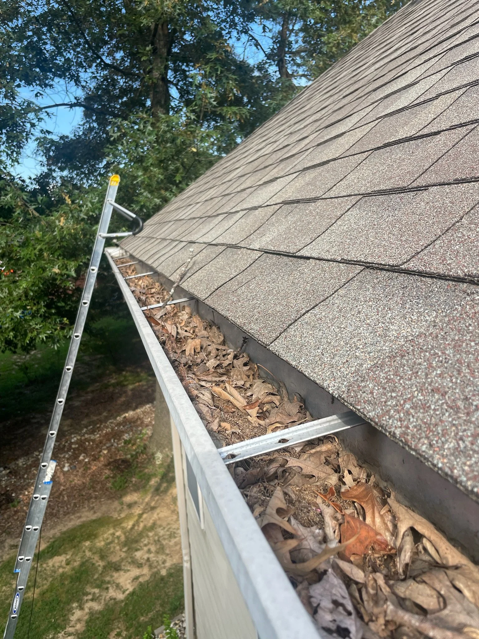 Gutter Full of leaves in Etown
