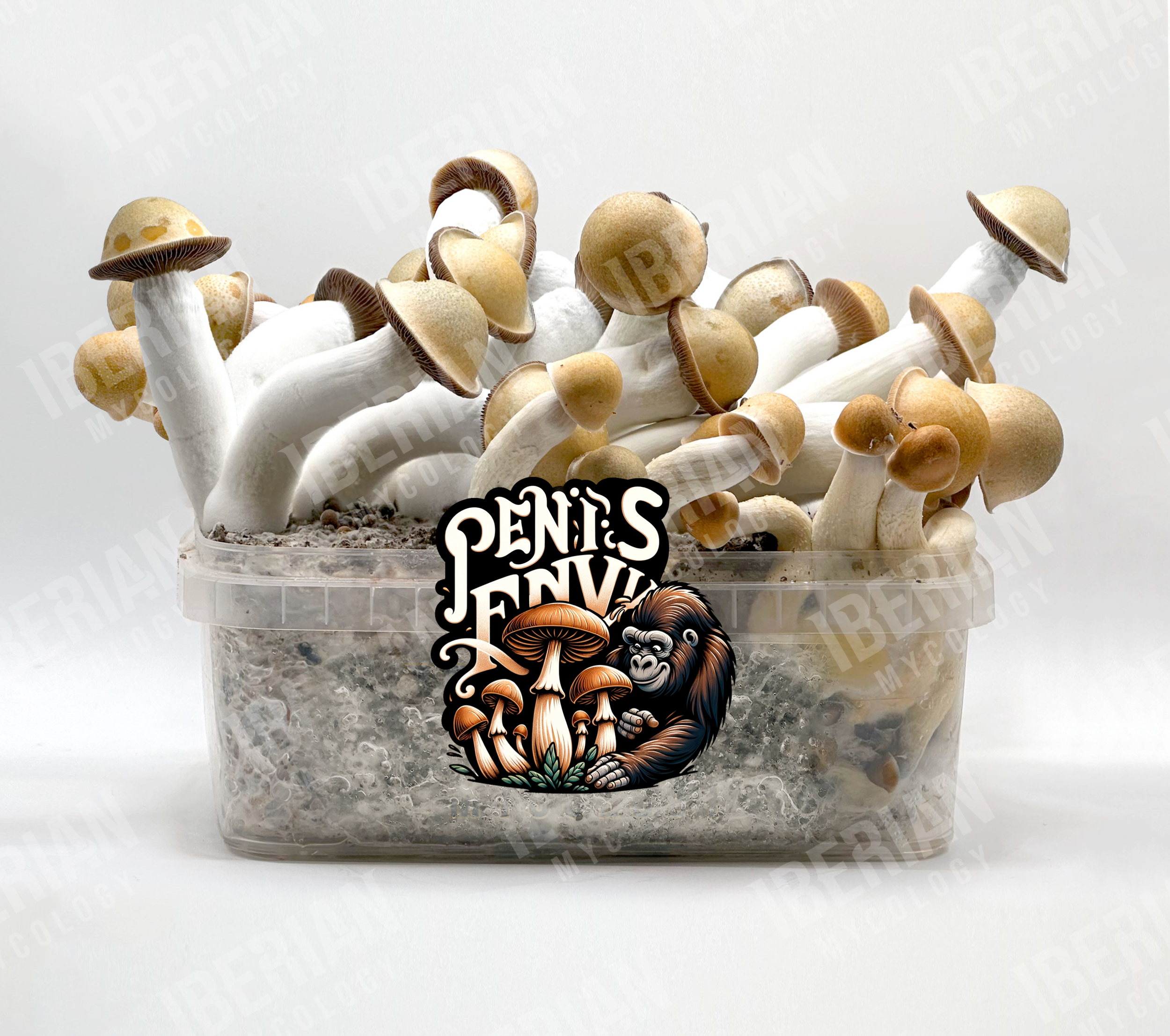 Penys-Envy.png (Copy)