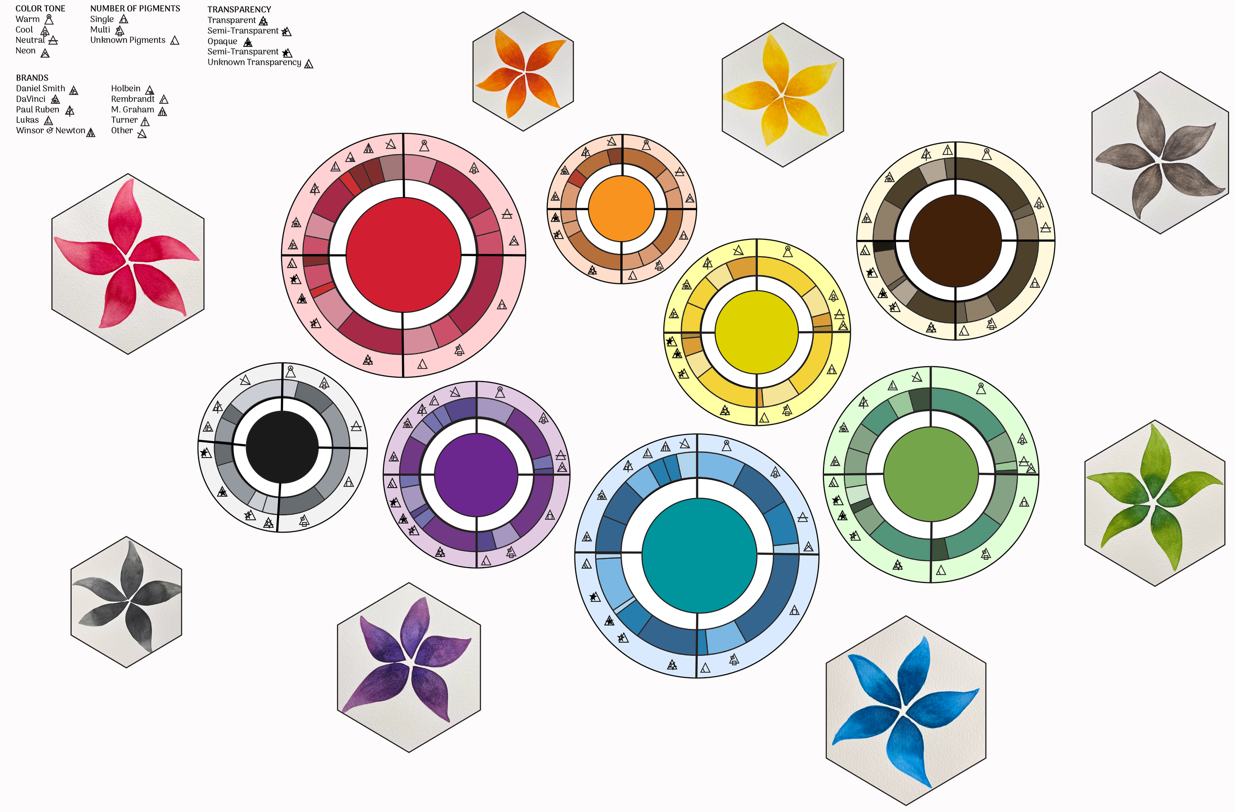 Color Pre Motion | Watercolor Collection Infographic | 2024