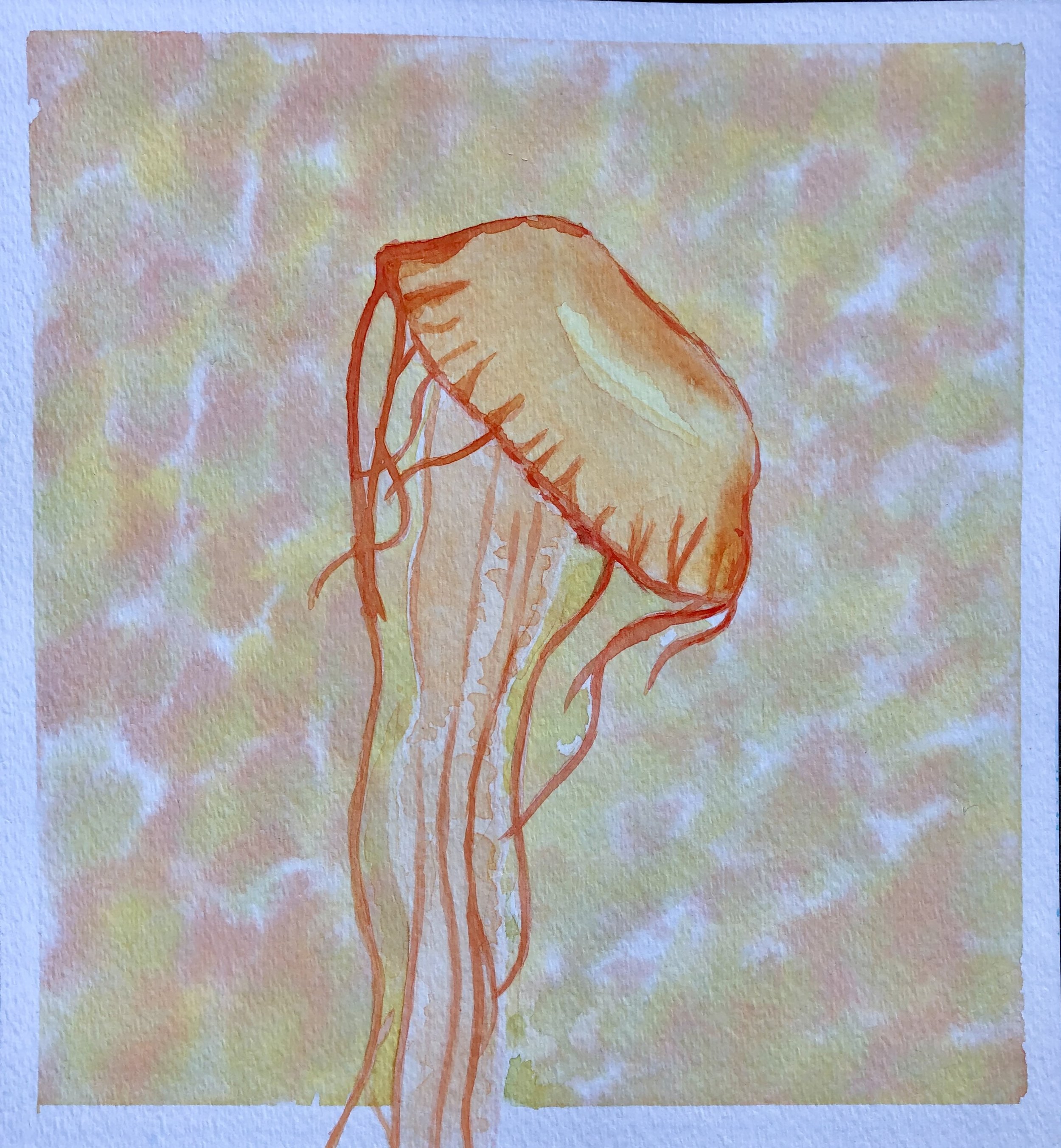 Jelly | Watercolor on Paper 2019