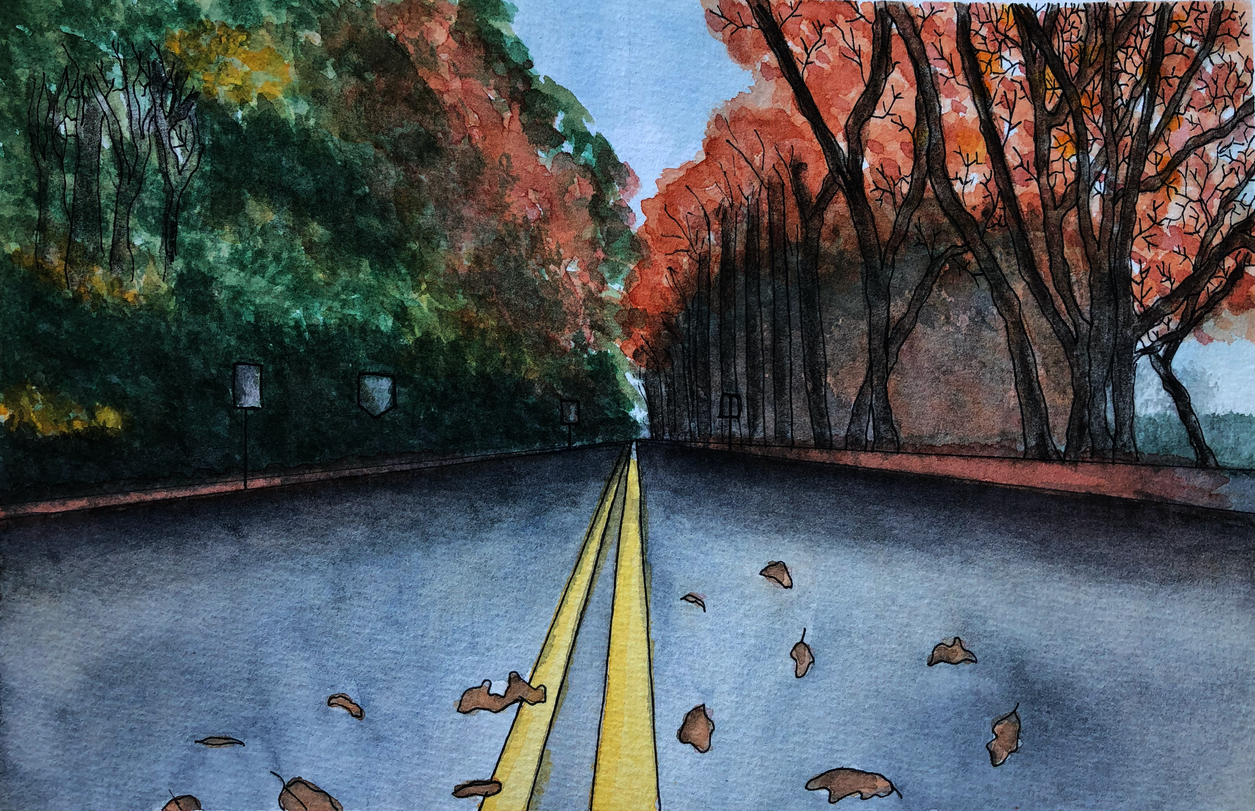 Fall Drive | Watercolor & Ink on Paper 2019