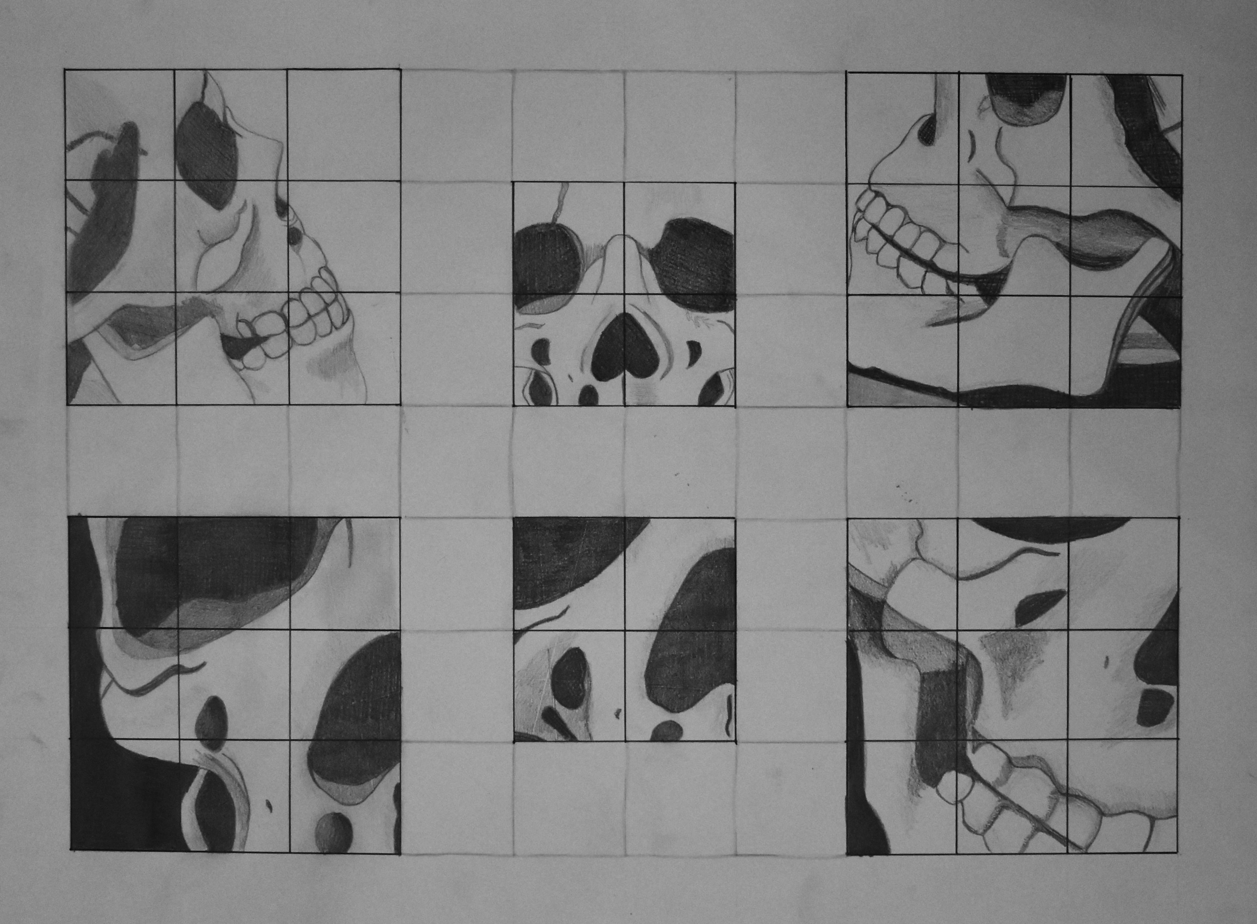 Skull Study | Graphite on Paper 18x24" 2019