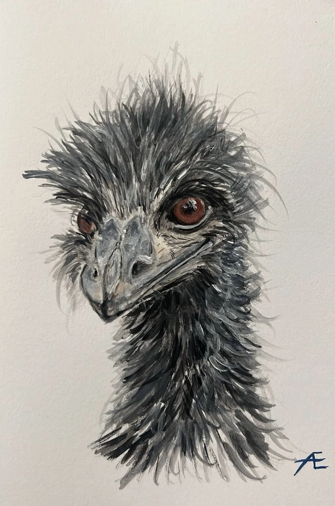 a drawing of an ostrich, perfectly capturing the color and shape of it's eyes