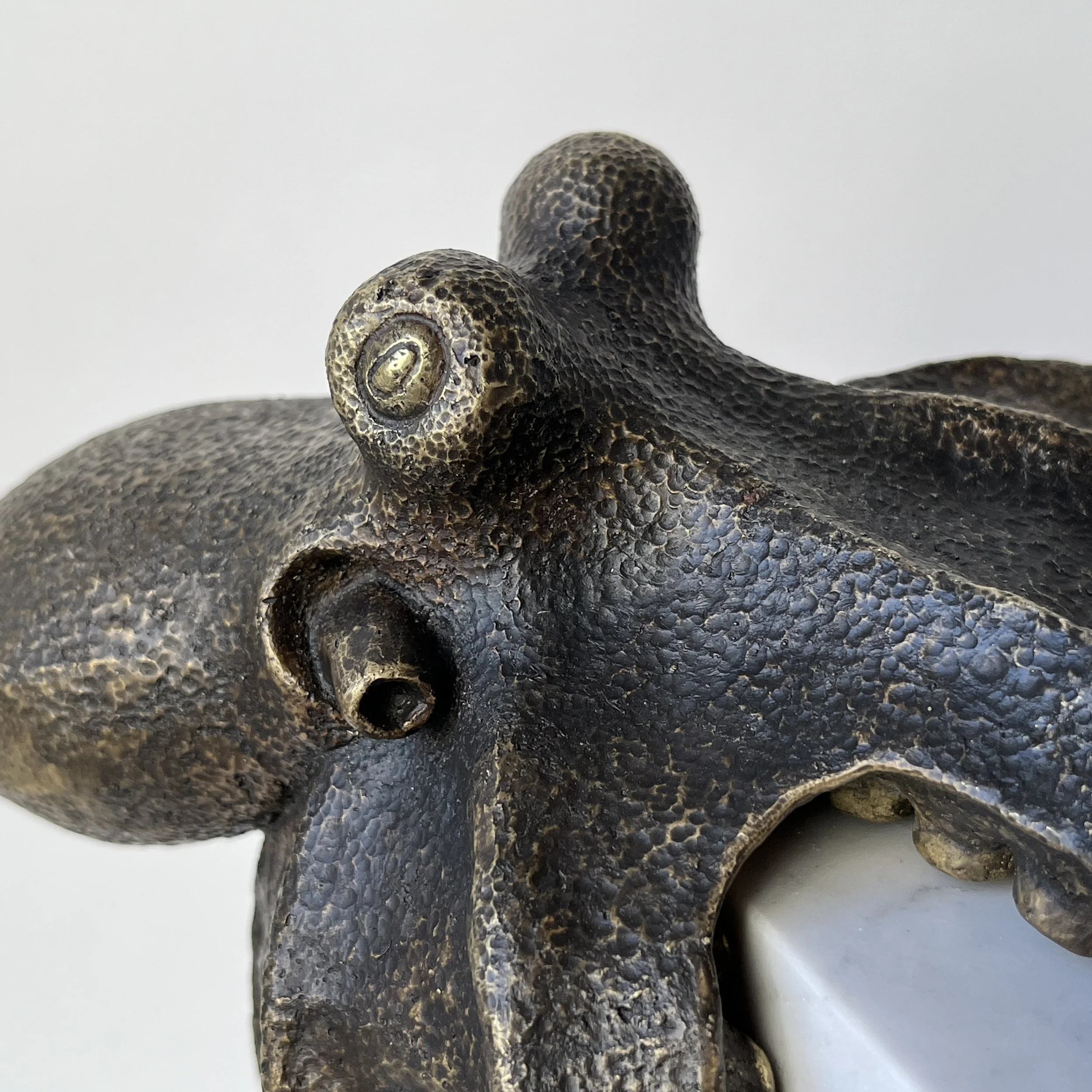 Close-up of black textured cast brass octopus sculpture on white background.