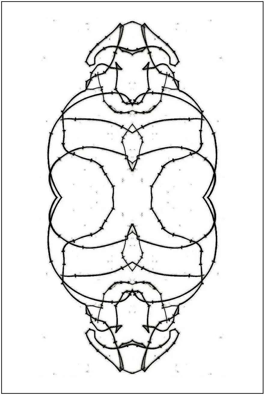 Argo No. 39 (symmetry A), inkjet print,  21 x 13 cm, 2009 - 2012