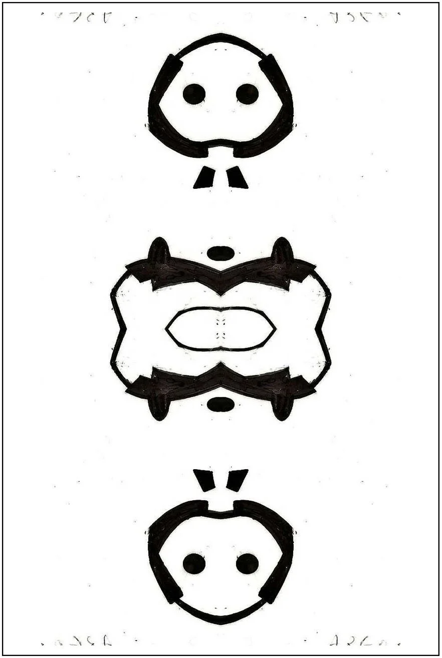Argo No. 4 (symmetry A), inkjet print,  21 x 13 cm, 2009 - 2012