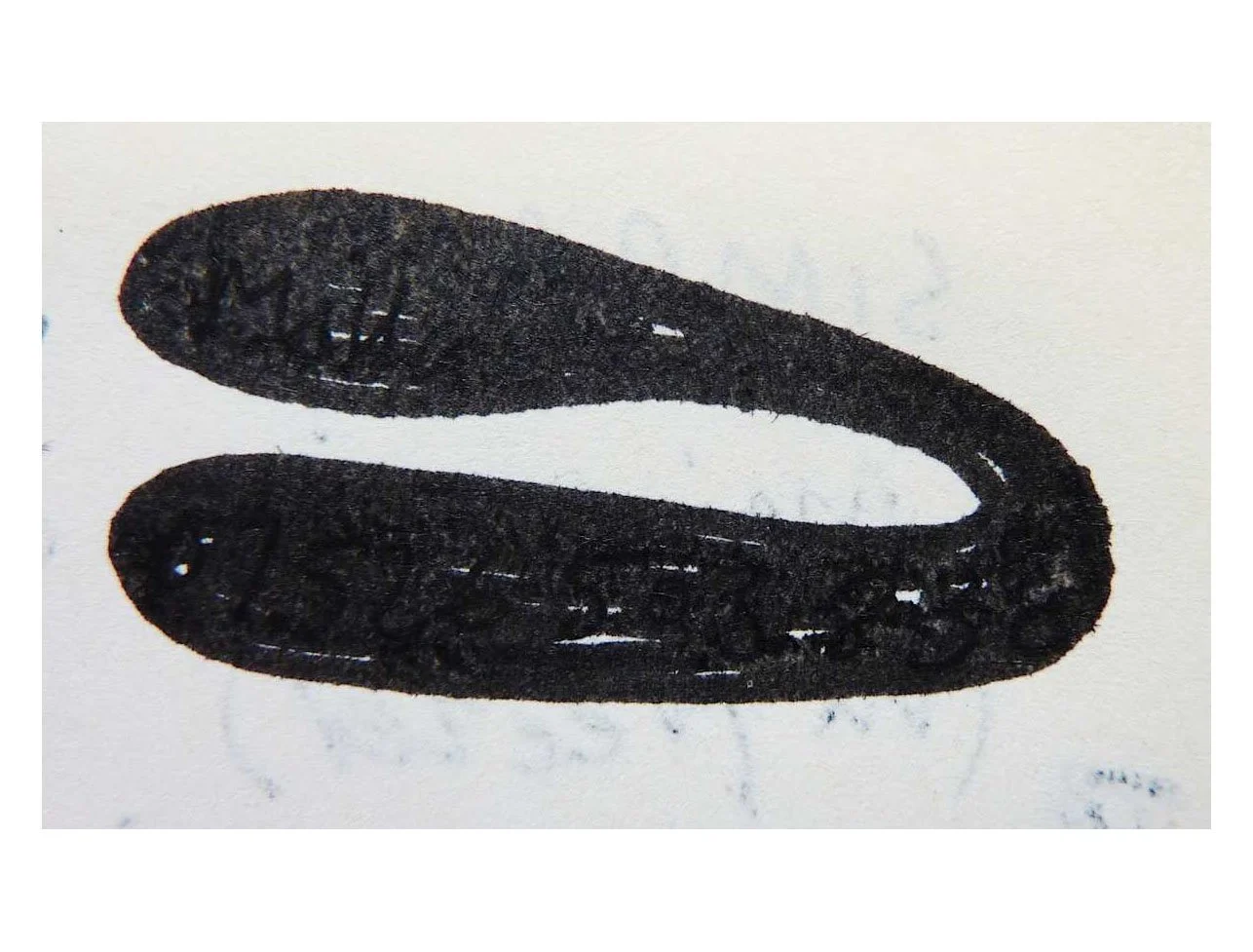 Bull and Snowflake 25.jpg