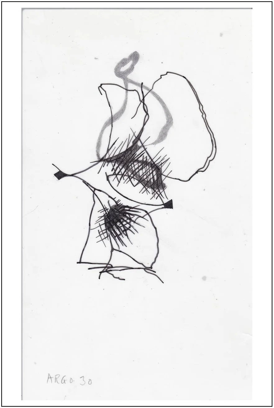 Argo No. 30 (trace), polymer pencil on tracing film,  21 x 13 cm, 2009 - 2012 