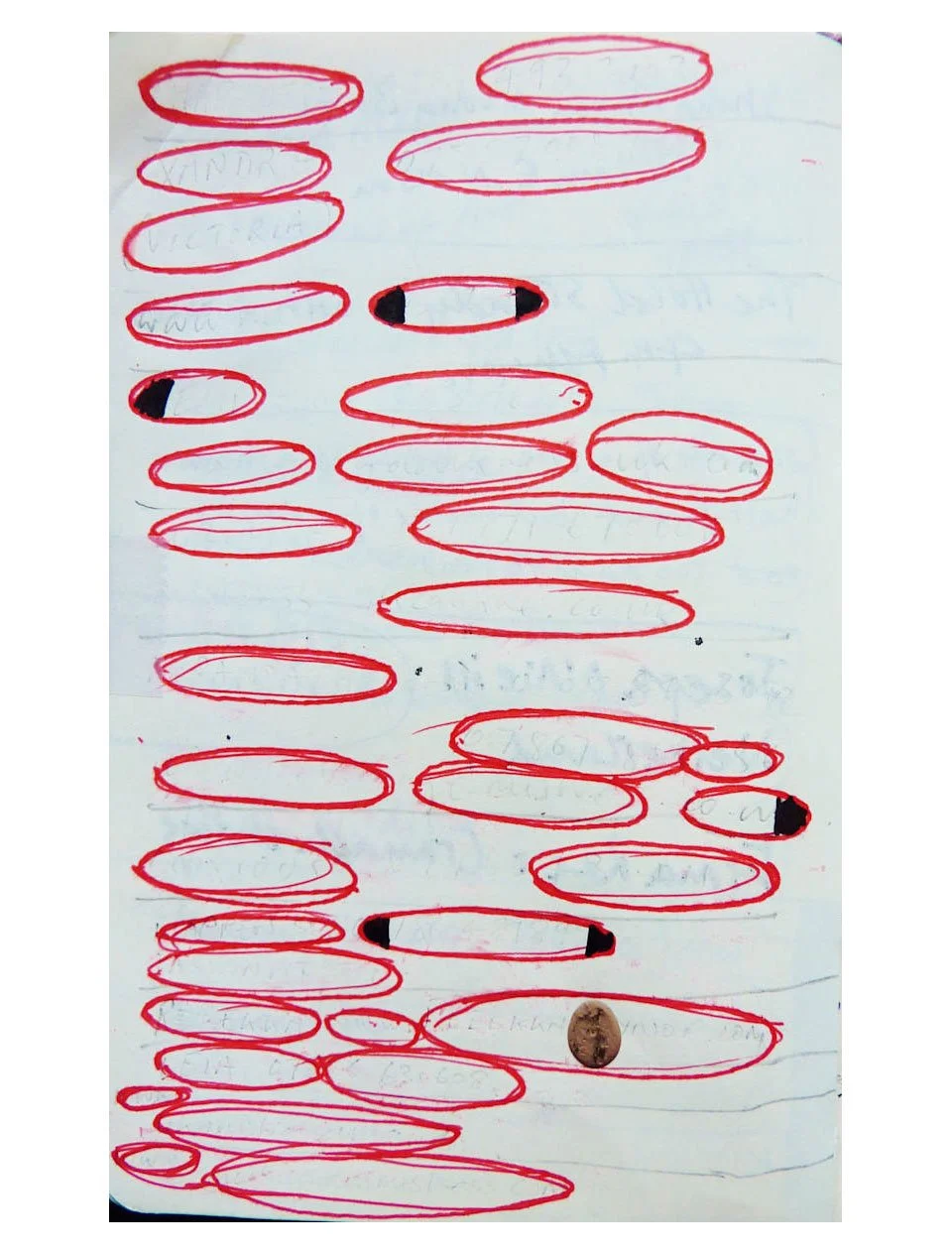 Bull and Snowflake 14.jpg