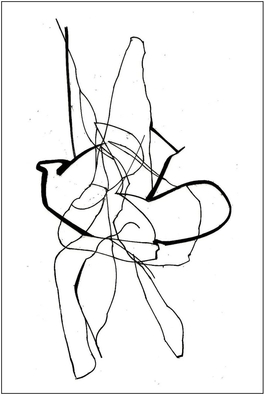 Argo No. 32 (trace), polymer pencil on tracing film,  21 x 13 cm, 2009 - 2012 