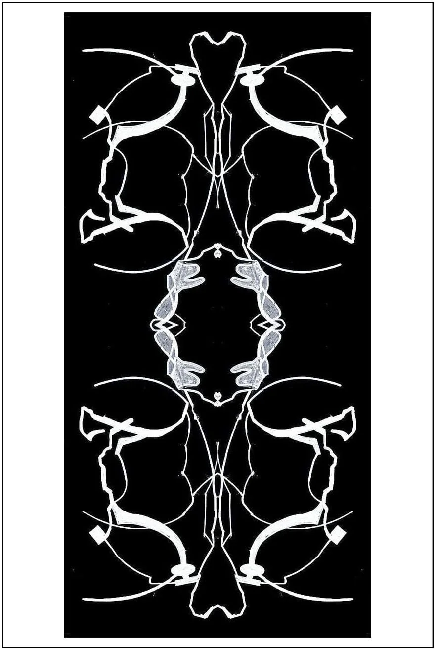 Argo No. 29 (symmetry B), inkjet print,  21 x 13 cm, 2009 - 2012