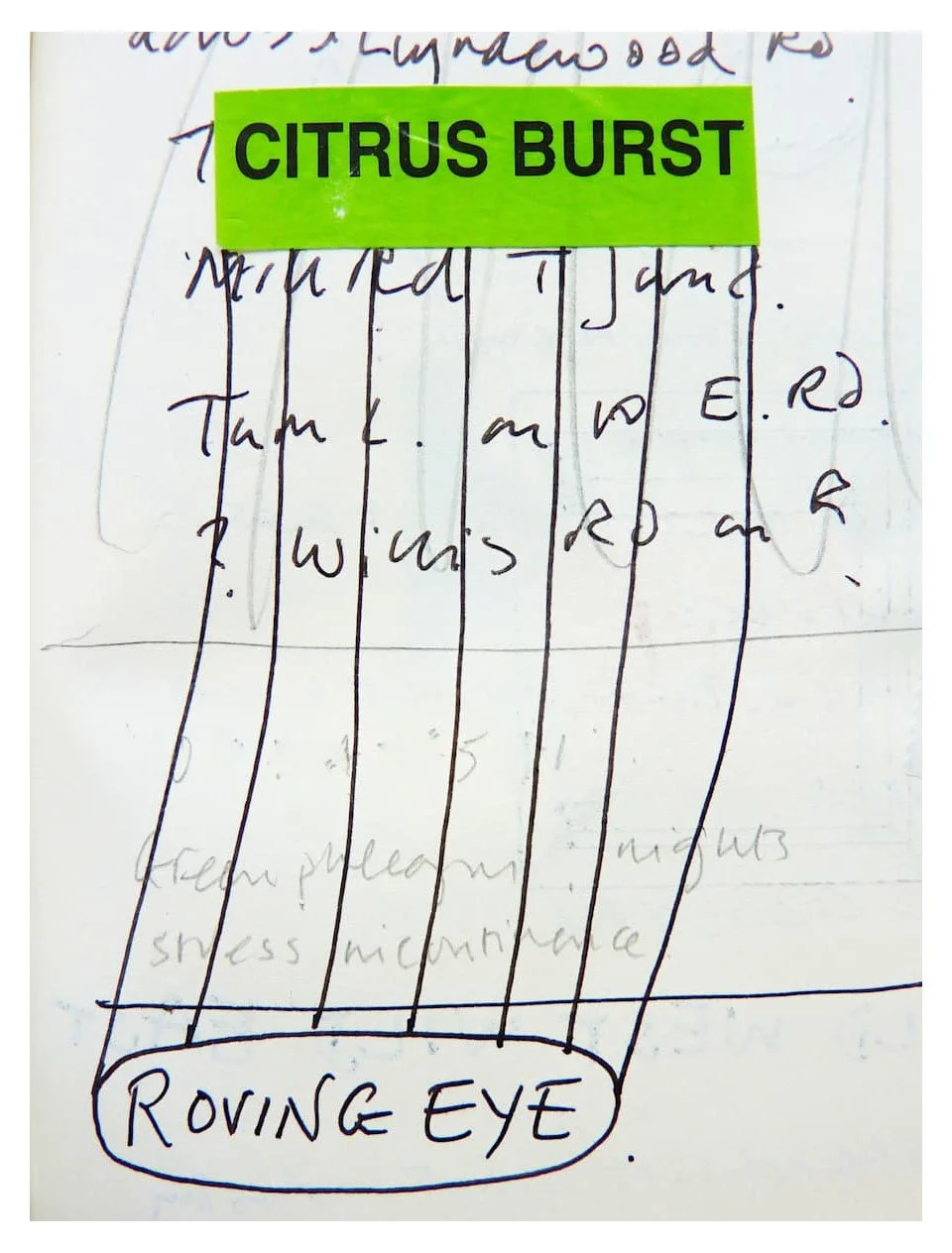 Bull and Snowflake 9.jpg