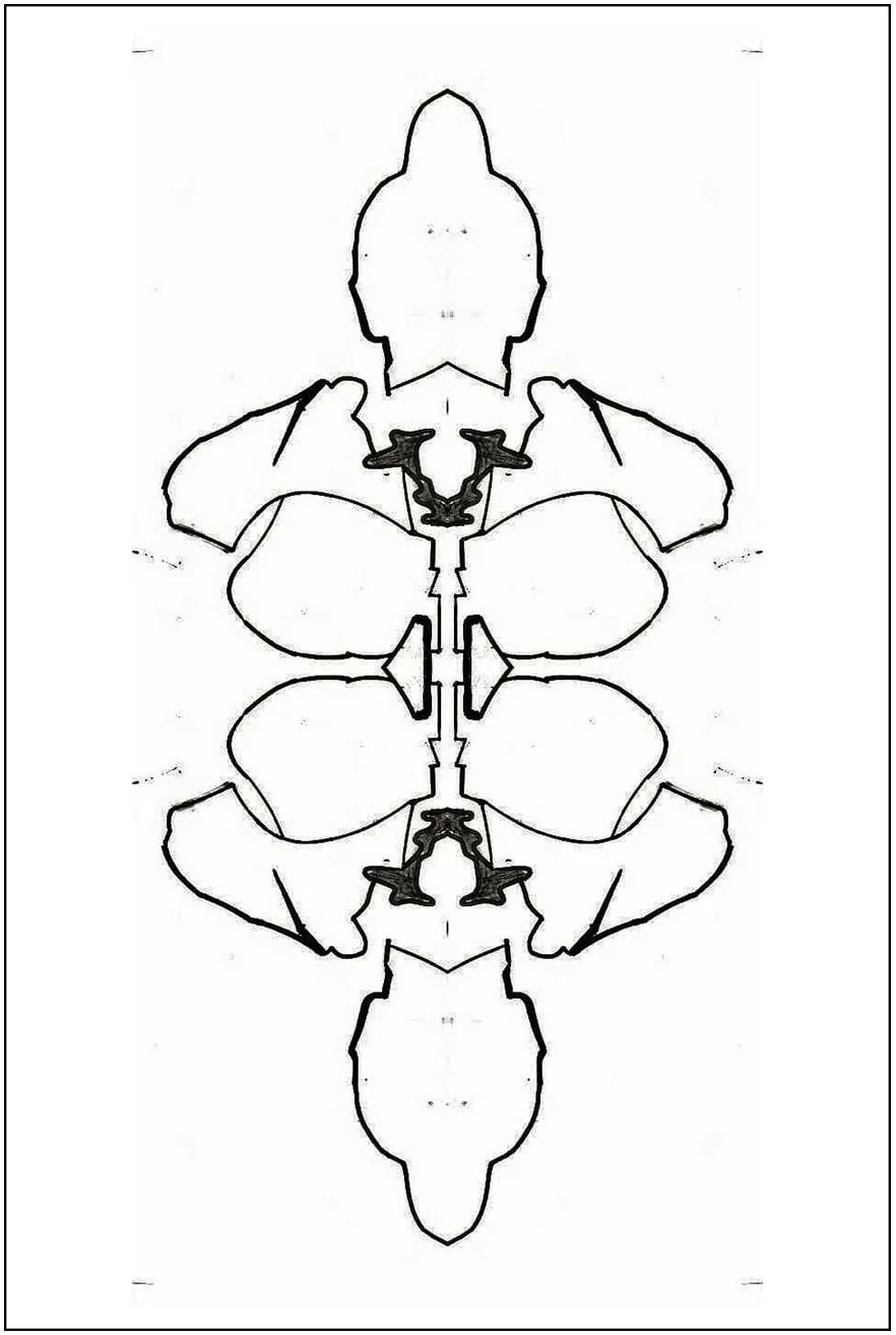 Argo No. 29 (symmetry A), inkjet print,  21 x 13 cm, 2009 - 2012