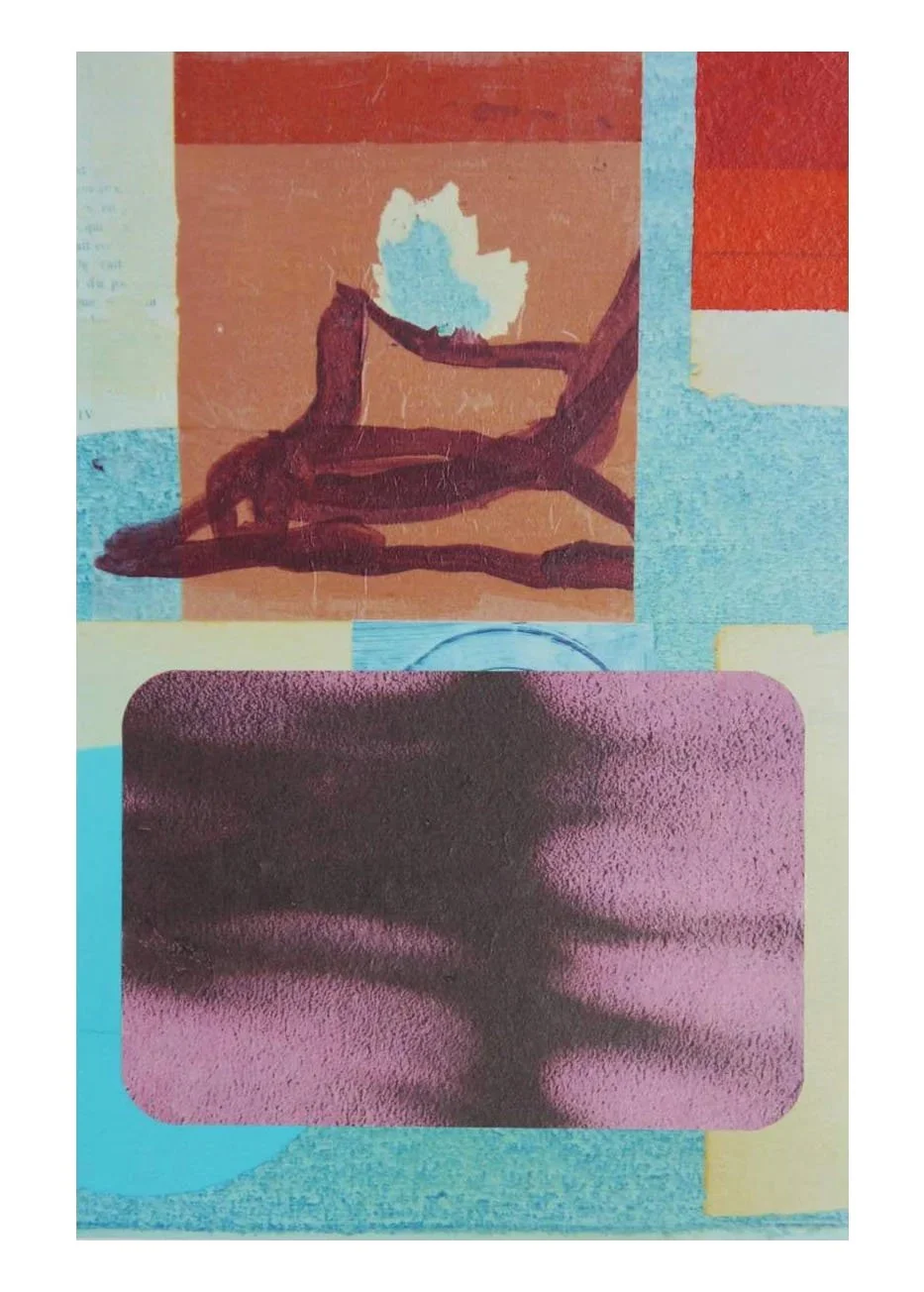 No. 6, acrylic and Japanese paper and inkjet print on c-type, 2013