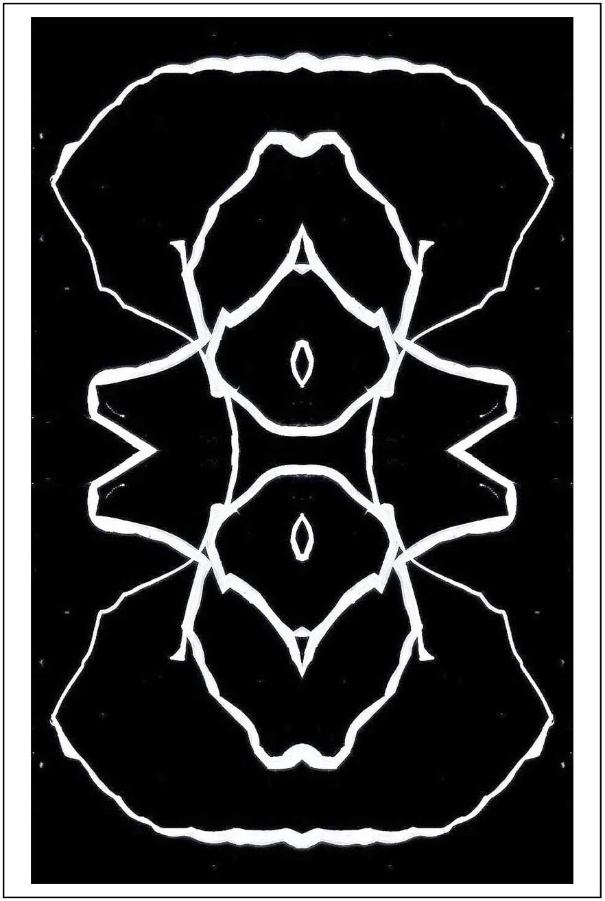 Argo No. 18 (symmetry B), inkjet print,  21 x 13 cm, 2009 - 2012