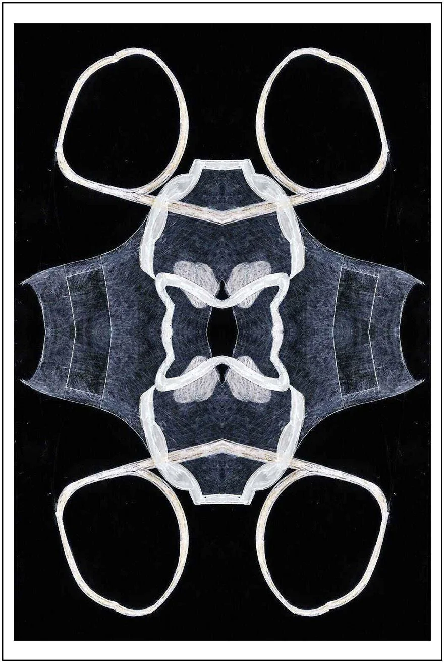 Argo No. 16 (symmetry B), inkjet print,  21 x 13 cm, 2009 - 2012