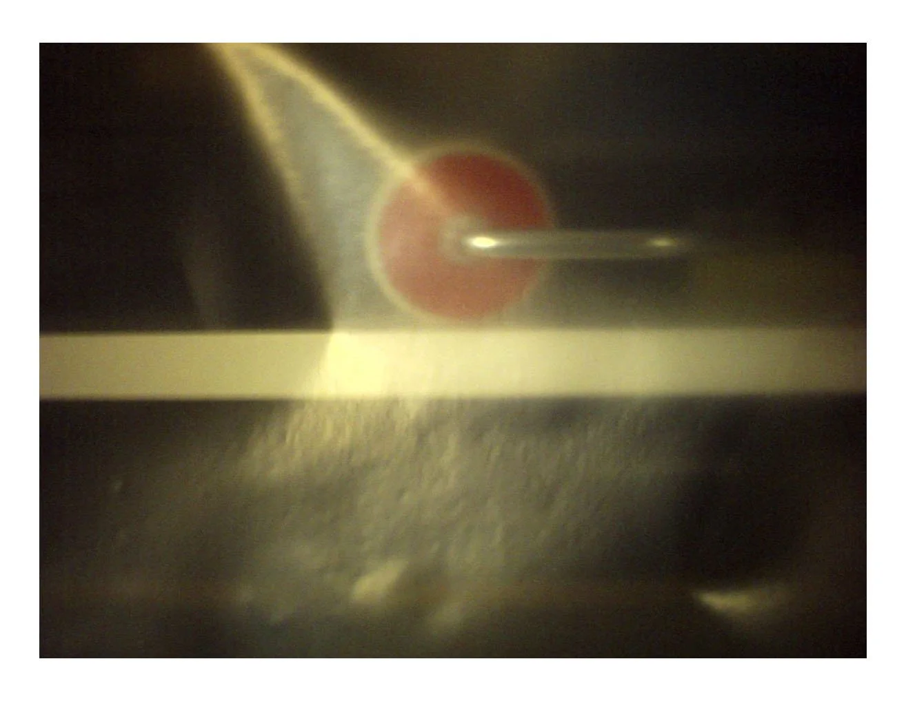 Basement Studio, 2012